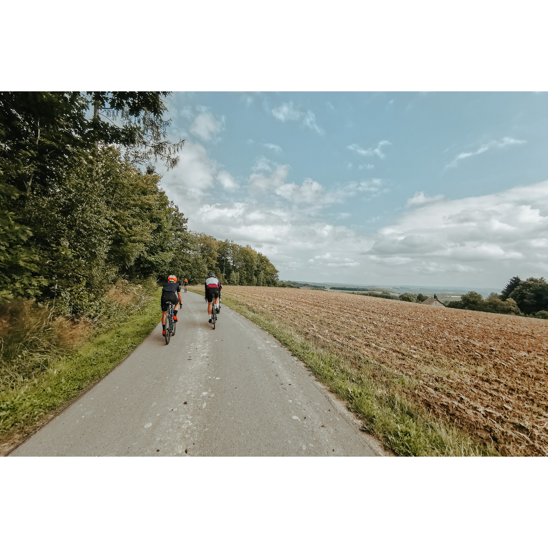 5 cyclists in cycling clothes and helmets riding on an asphalt road, green trees on the left, farmland on the right, blue sky and clouds in the background