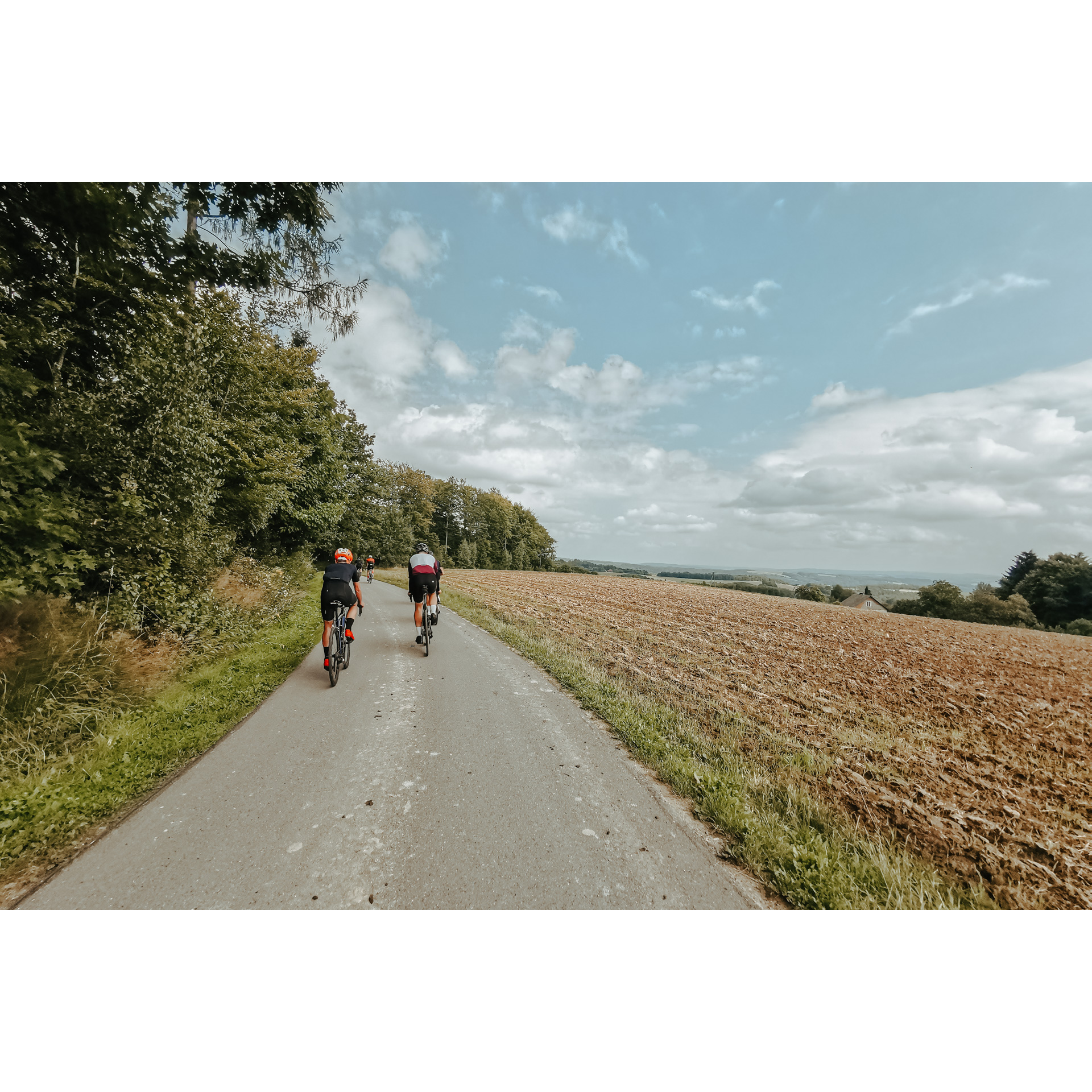 5 rowerzystów w strojach kolarskich i kaskach jadących drogą asfaltową, z lewej strony zielone drzewa, z prawej pole uprawne, w tle błękitne niebo i chmury