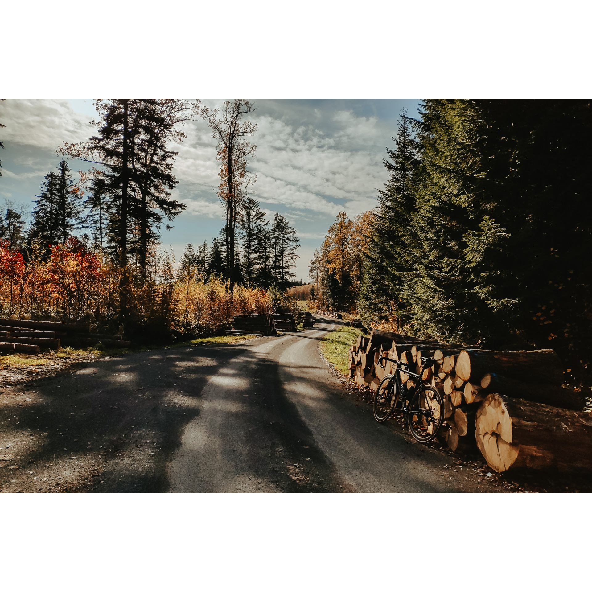 Forest road with tree trunks arranged on the roadsides, on the right side a black bicycle leaning against a pile of cut trunks