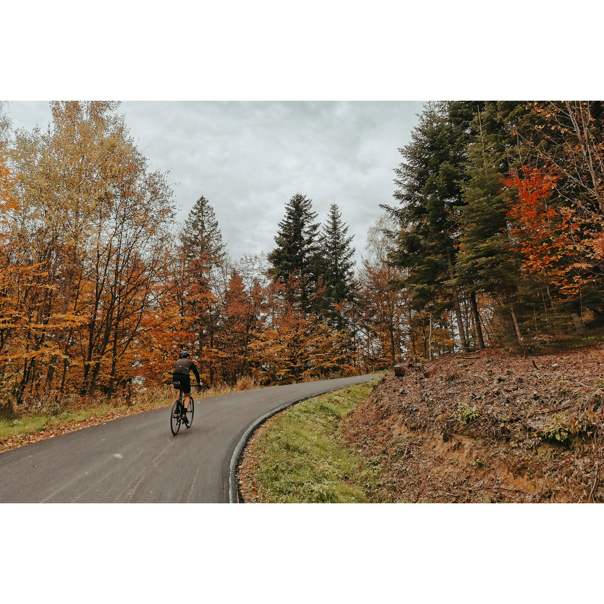 Rowerzysta w czarnym stroju kolarskim i kasku jadący rowerem asfaltową drogą wśród rudo-brązowo-zielonych drzew
