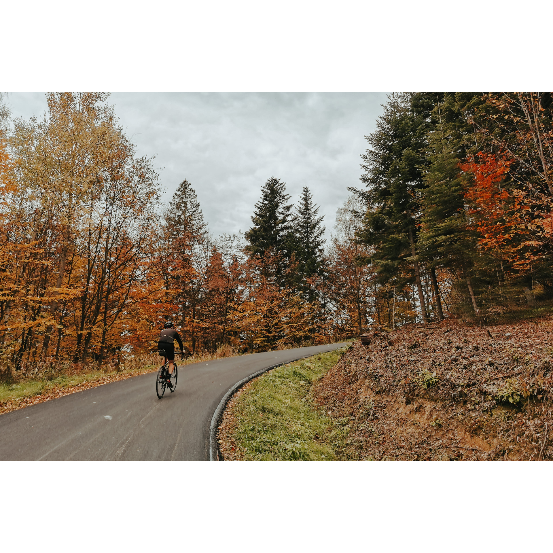 A cyclist in a black cycling outfit and a helmet cycling along an asphalt road among red-brown-green trees