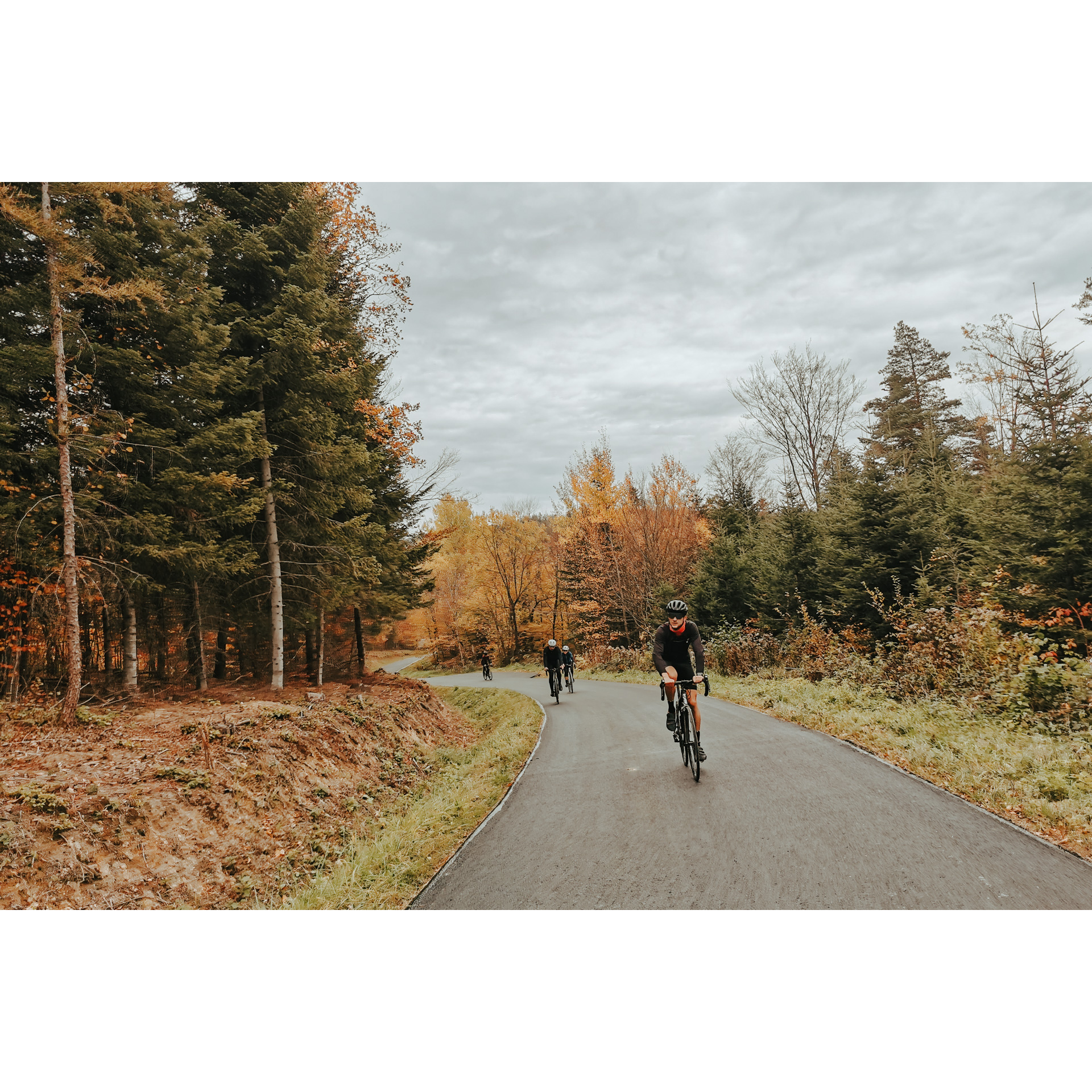 Czterech rowerzystów w strojach kolarskich i kaskach jadących rowerami asfaltową drogą wśród rudo-brązowo-zielonych drzew