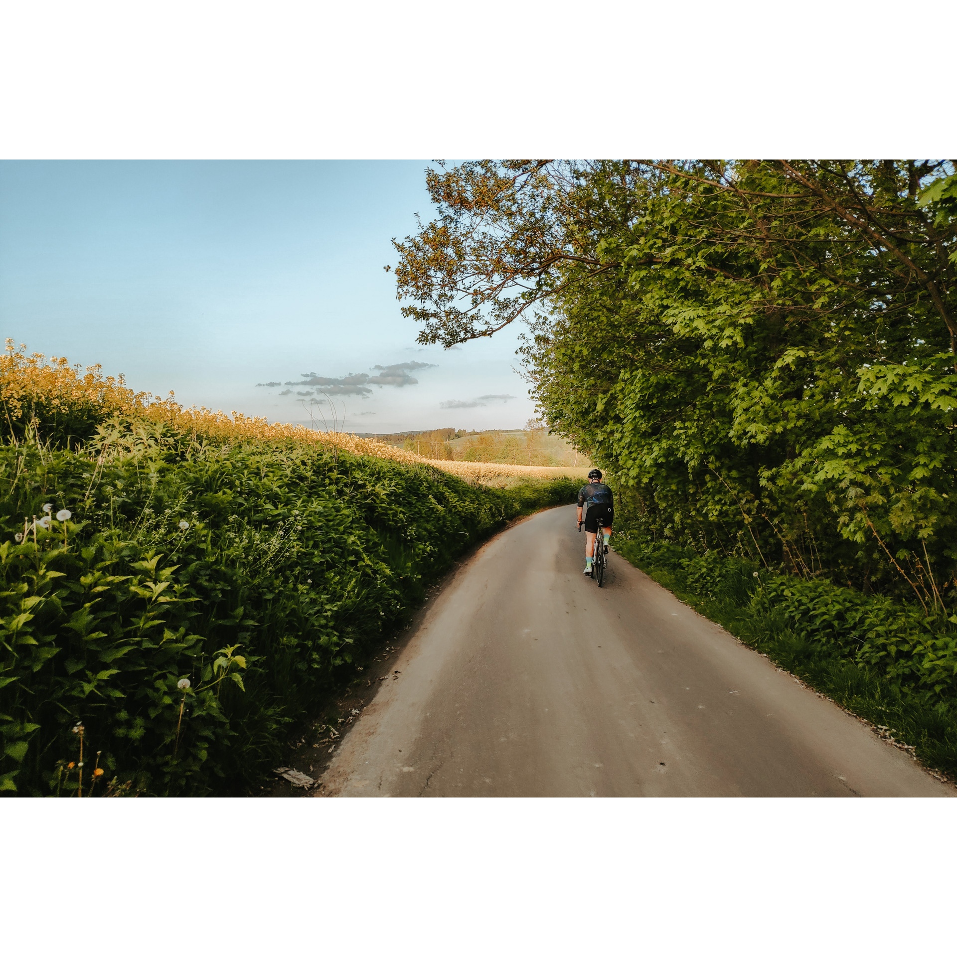 A cyclist in a graphite cycling outfit riding an asphalt road, green trees on the right, tall green vegetation in the fields on the left