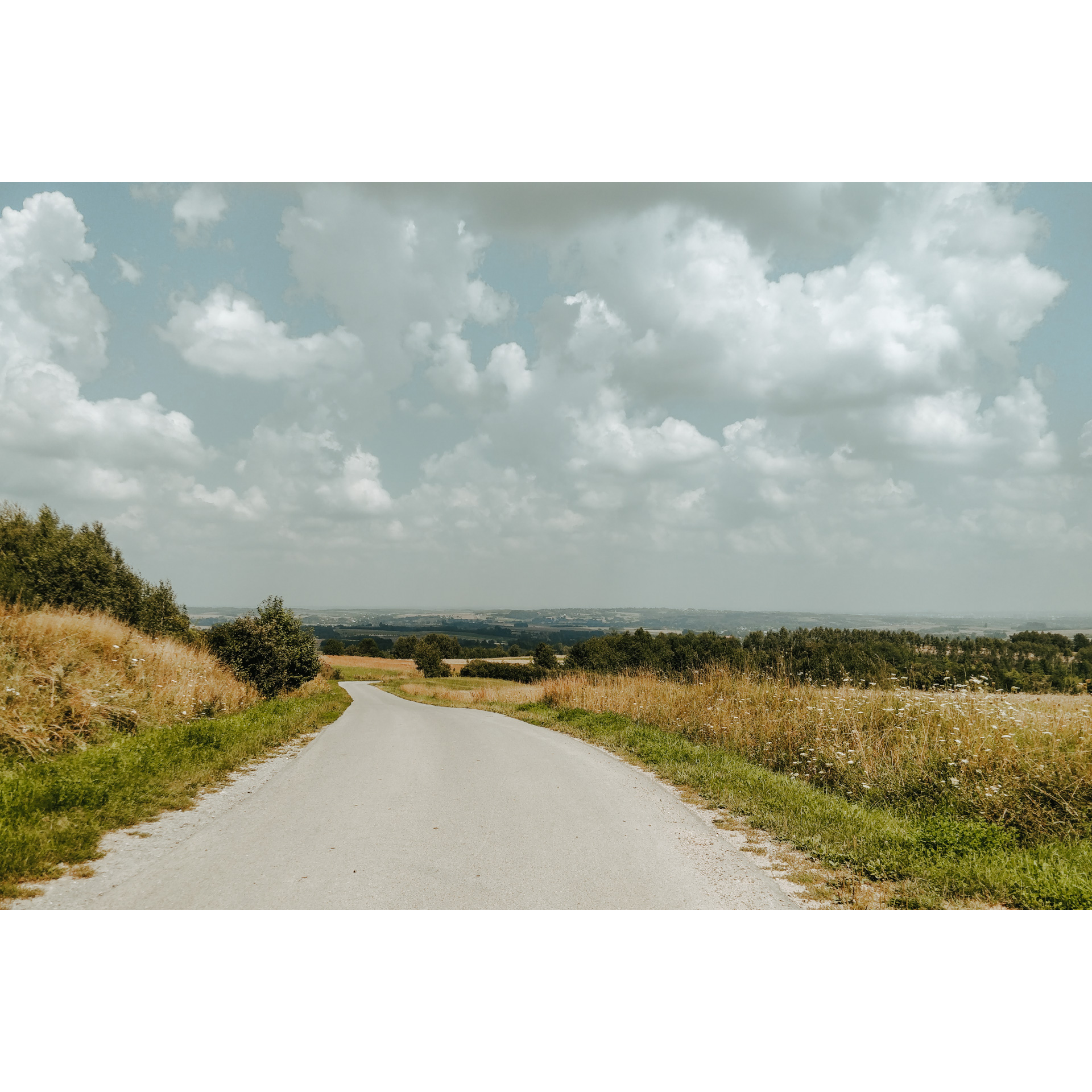 Asphalt road downhill among green meadows, in the background a view of green trees and hills