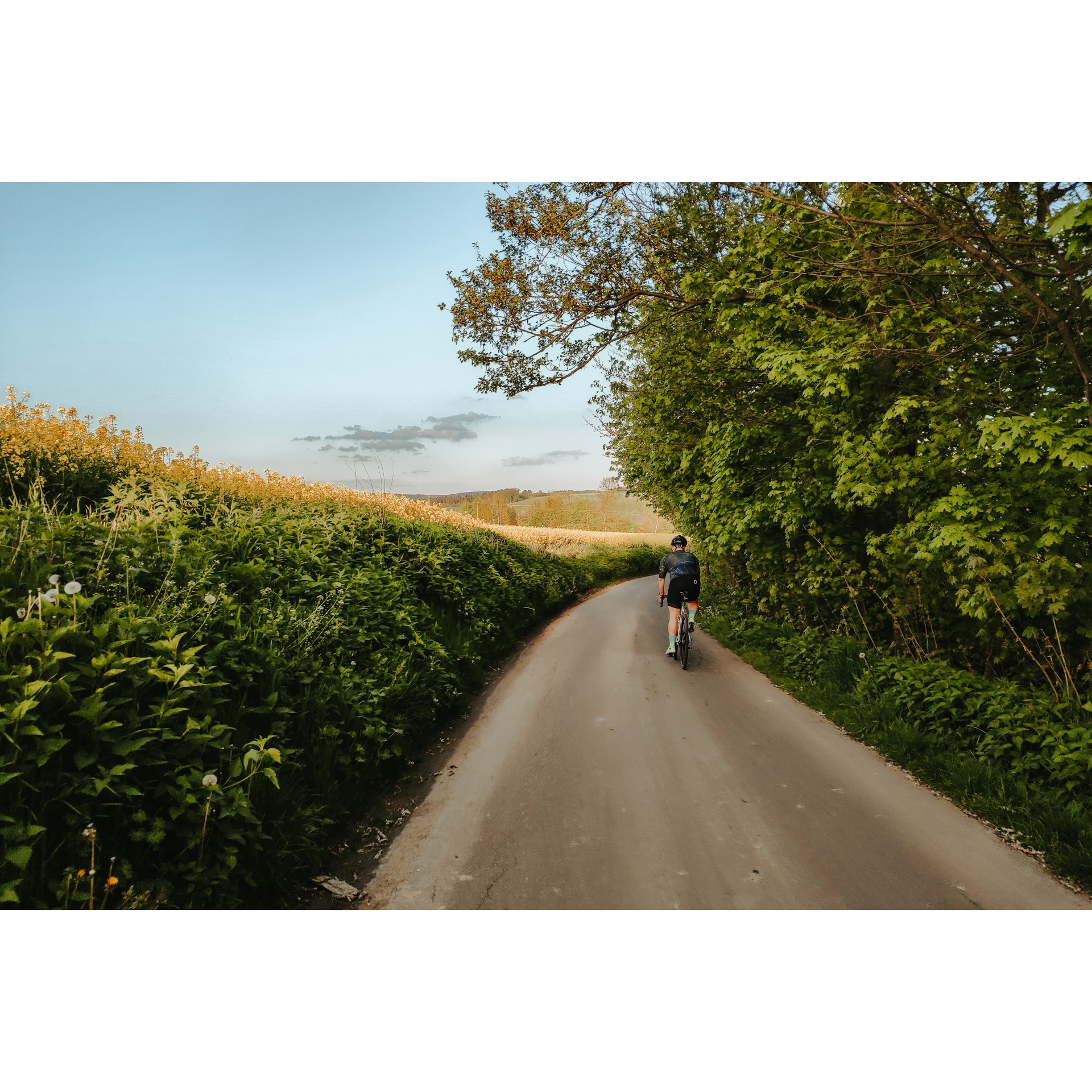 Rowerzysta w grafitowym stroju kolarskim jadący drogą asfaltową, z prawej strony zielone drzewa, z lewej strony wysoka, zielona roślinność na polach