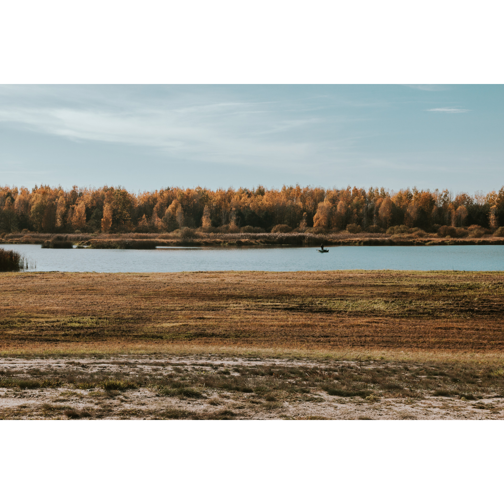 Brązowa polana przy zalewie, w tle brązowo-rude drzewa i jasne niebo