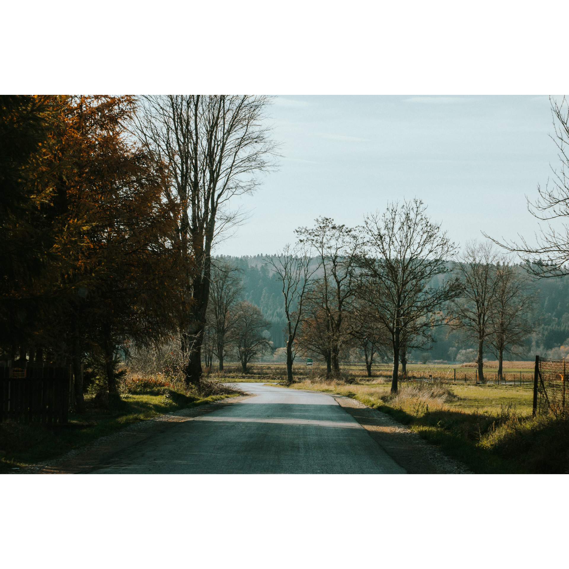 Asphalt road turning left, running between meadows and trees, forested hills and bright sky in the background