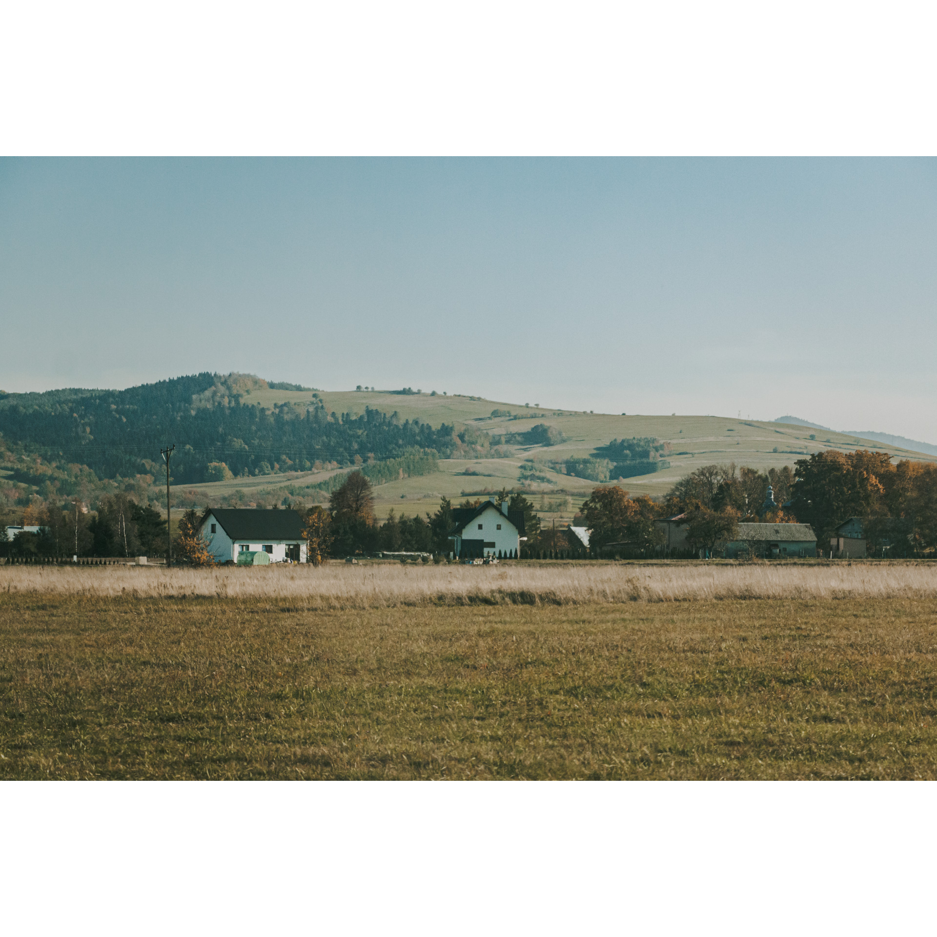 Green meadows and beige fields, bright farm buildings in the background, hills with trees behind them, cloudless, bright sky in the background