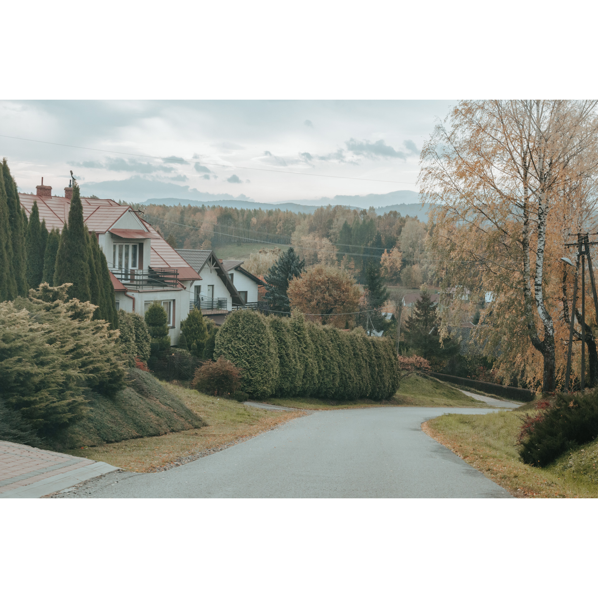 A narrow, winding asphalt road running downhill along single-family houses, bushes and trees, in the background a view of forested hills and a bright sky, in the distance the outline of the mountains