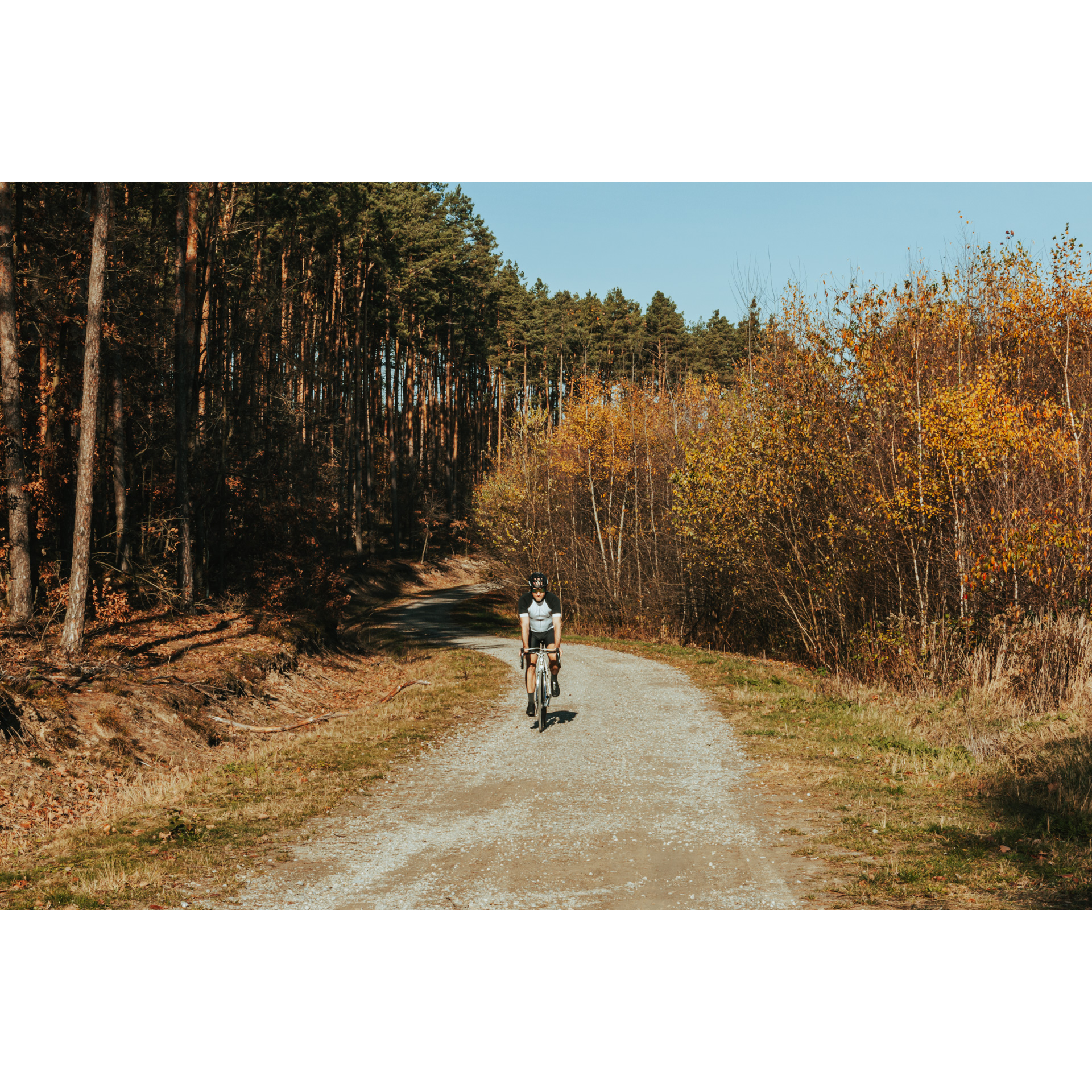 Rowerzysta w biało-czarnym stroju kolarskim jadący w słońcu szutrową drogą wśród brązowo-rudych drzew
