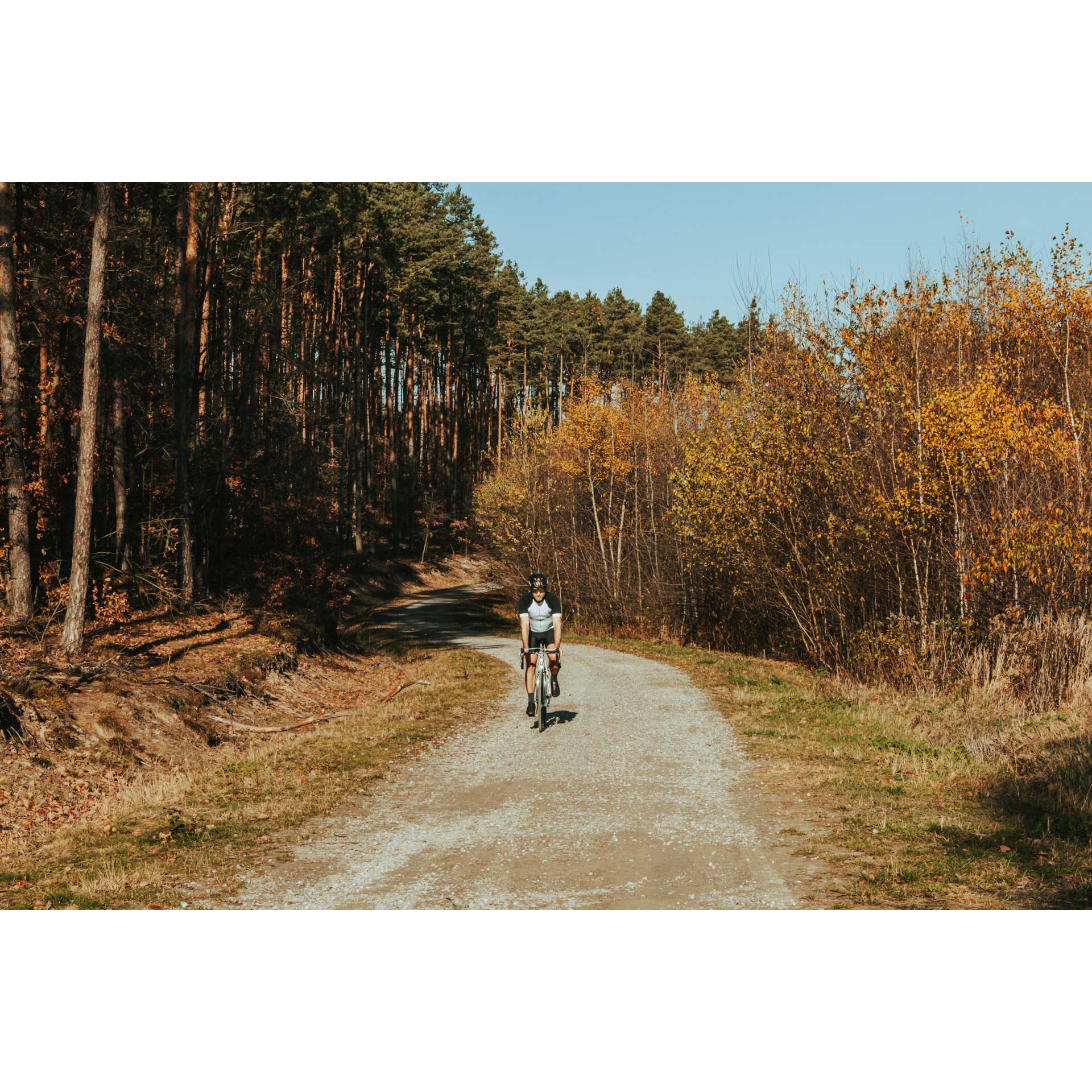 A cyclist in a black and white cycling outfit riding in the sun on a gravel road among brown and ginger trees