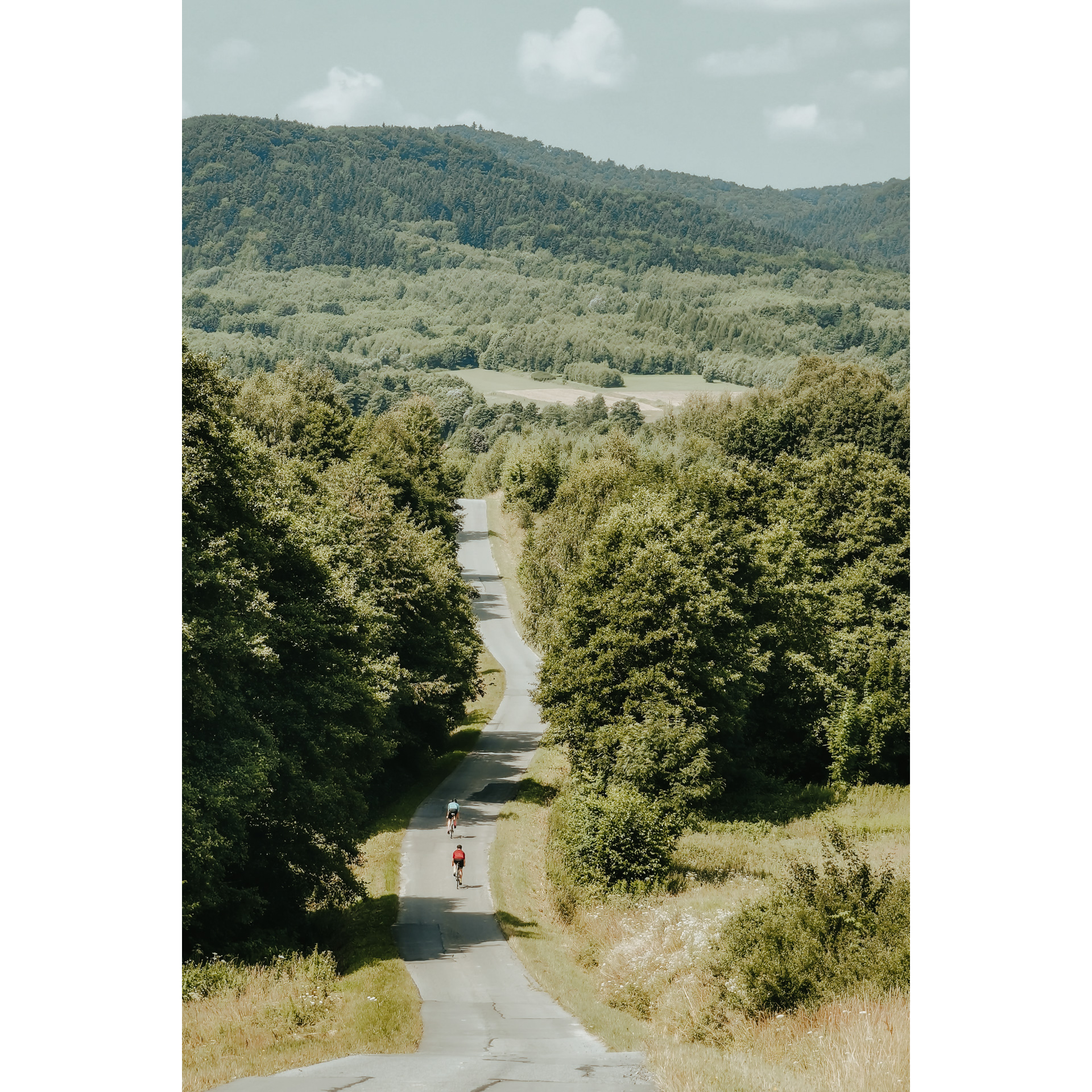 Aerial view of two cyclists riding an asphalt road among green trees