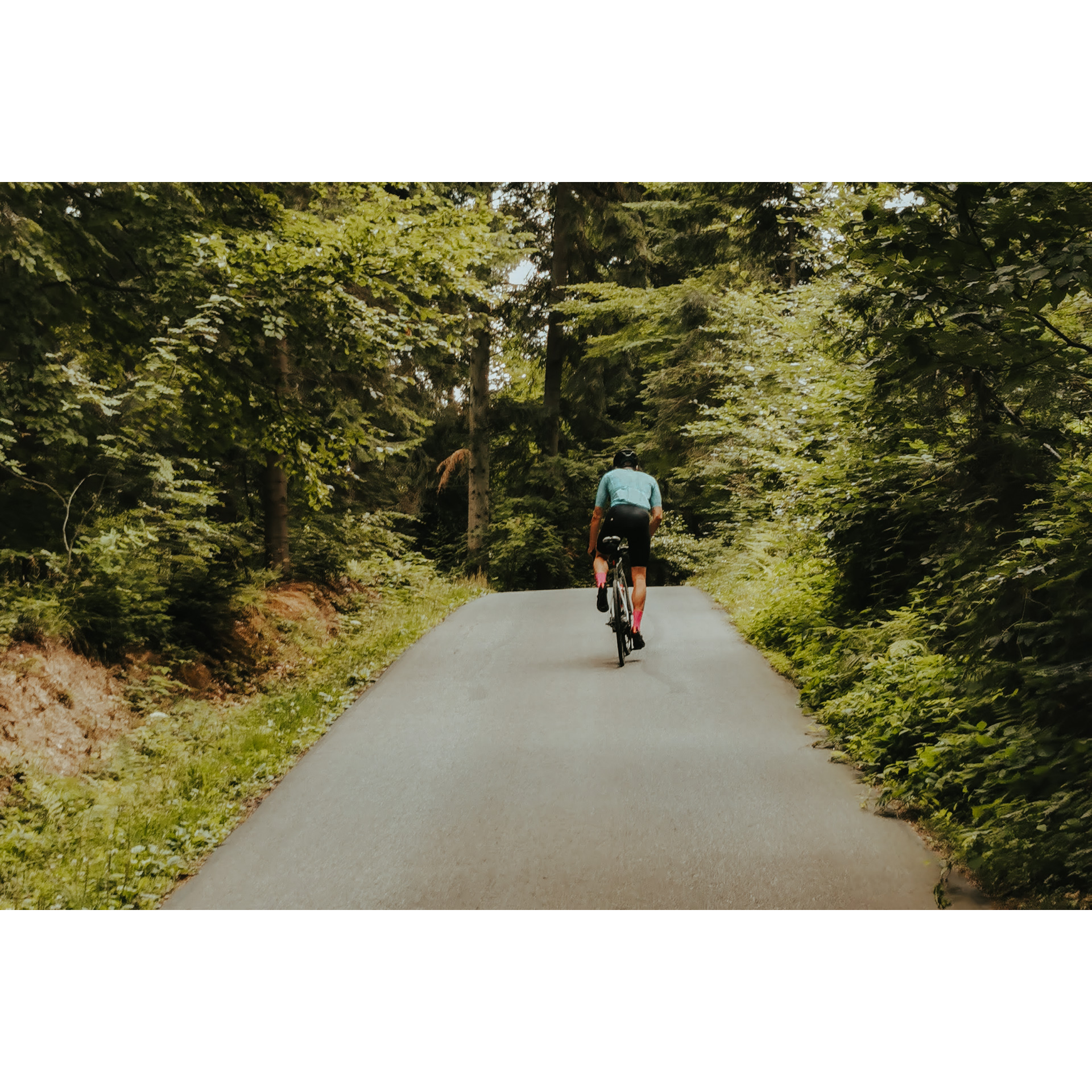 A cyclist in a blue T-shirt riding an asphalt road uphill among green trees