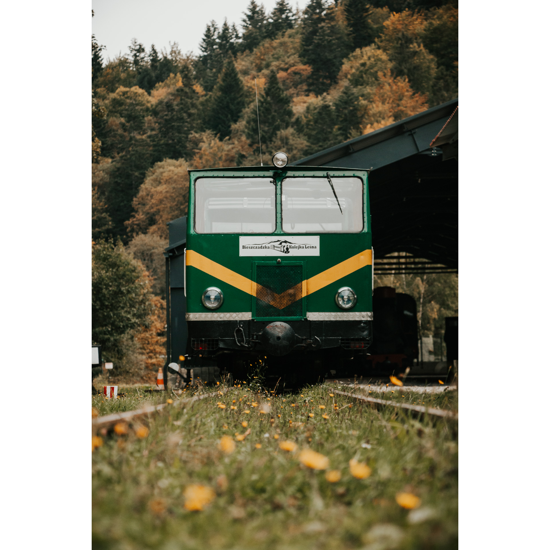 The front of a dark green forest railway with a triangular yellow band in the middle