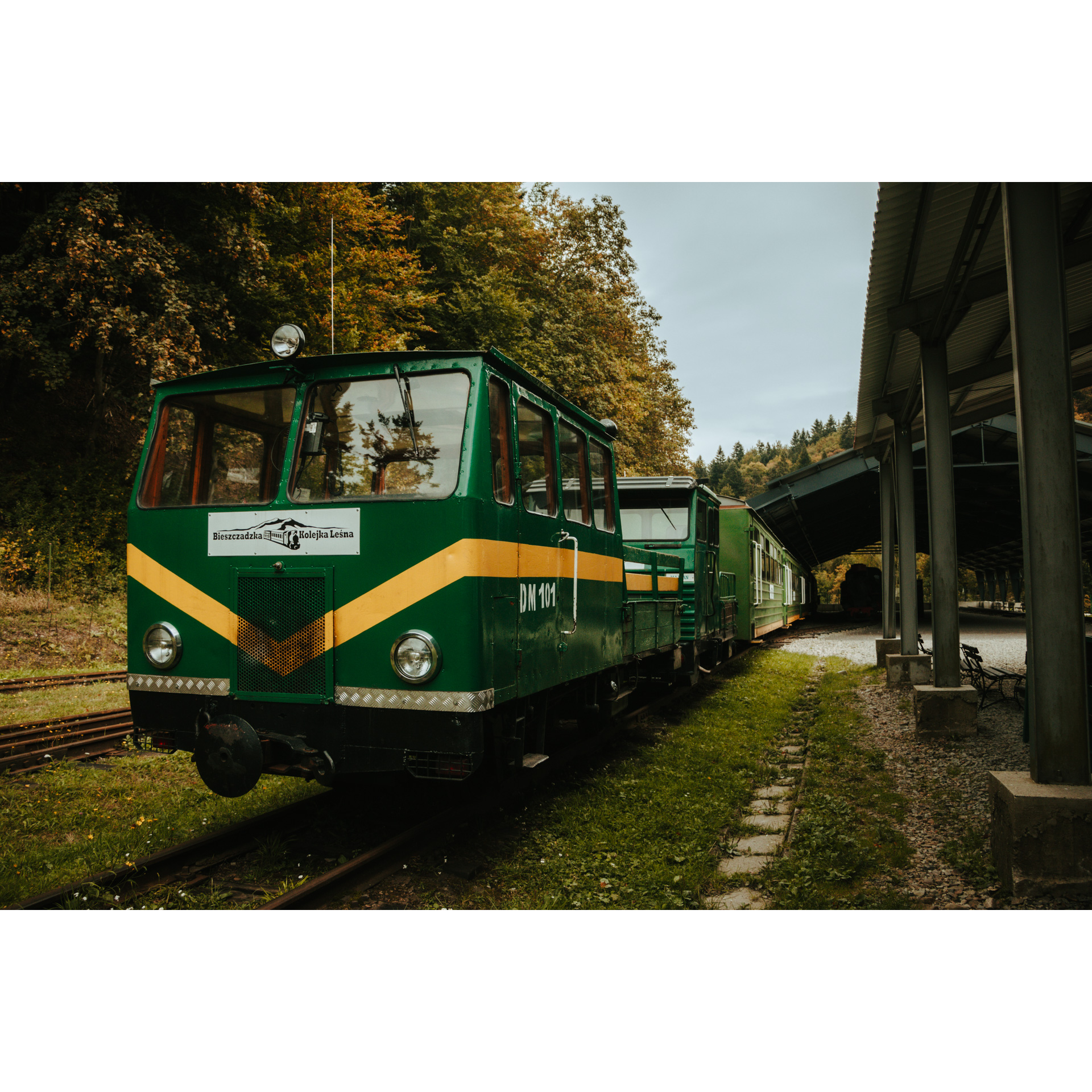 Ciemnozielona kolejka leśna z trójkątnym żółtym pasem idącym przez środek 