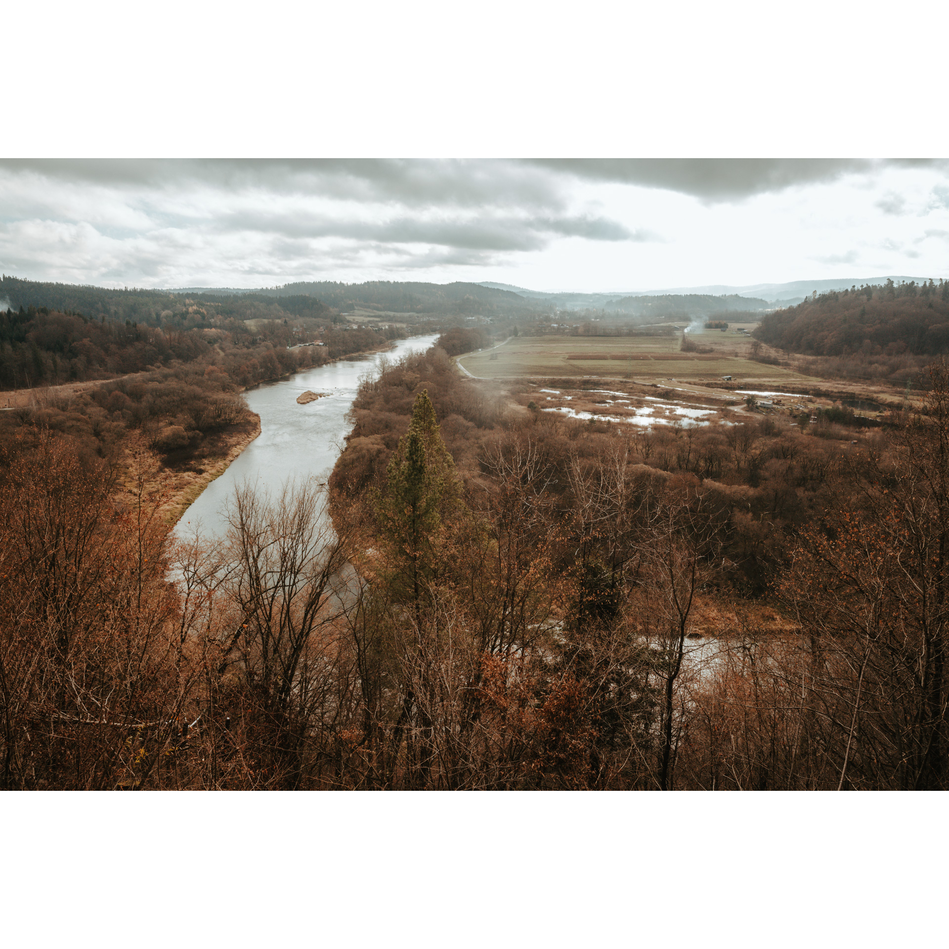 A river flowing among trees with brown leaves under a cloudy sky