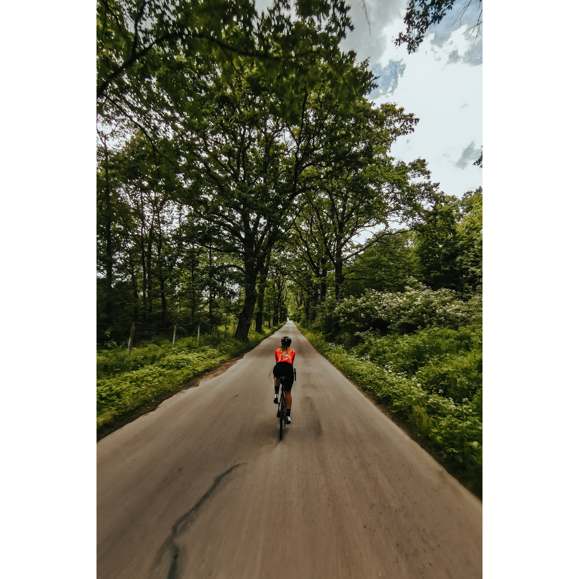 A cyclist in a red and black outfit riding an asphalt road surrounded by lush vegetation and trees with green leaves