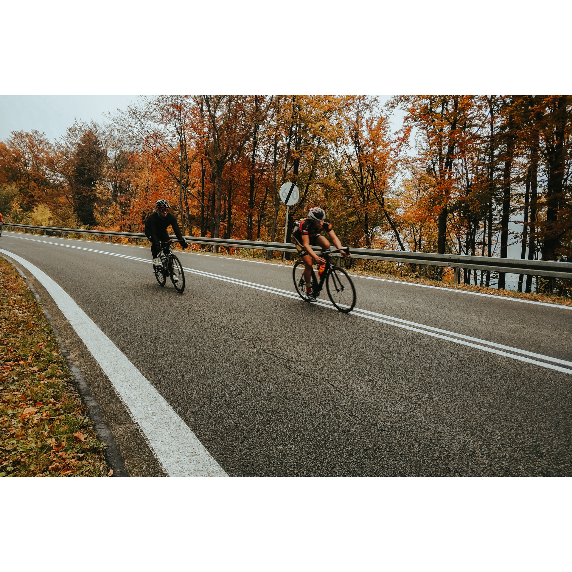 Cyclists in black clothes riding on an asphalt road surrounded by trees with orange leaves