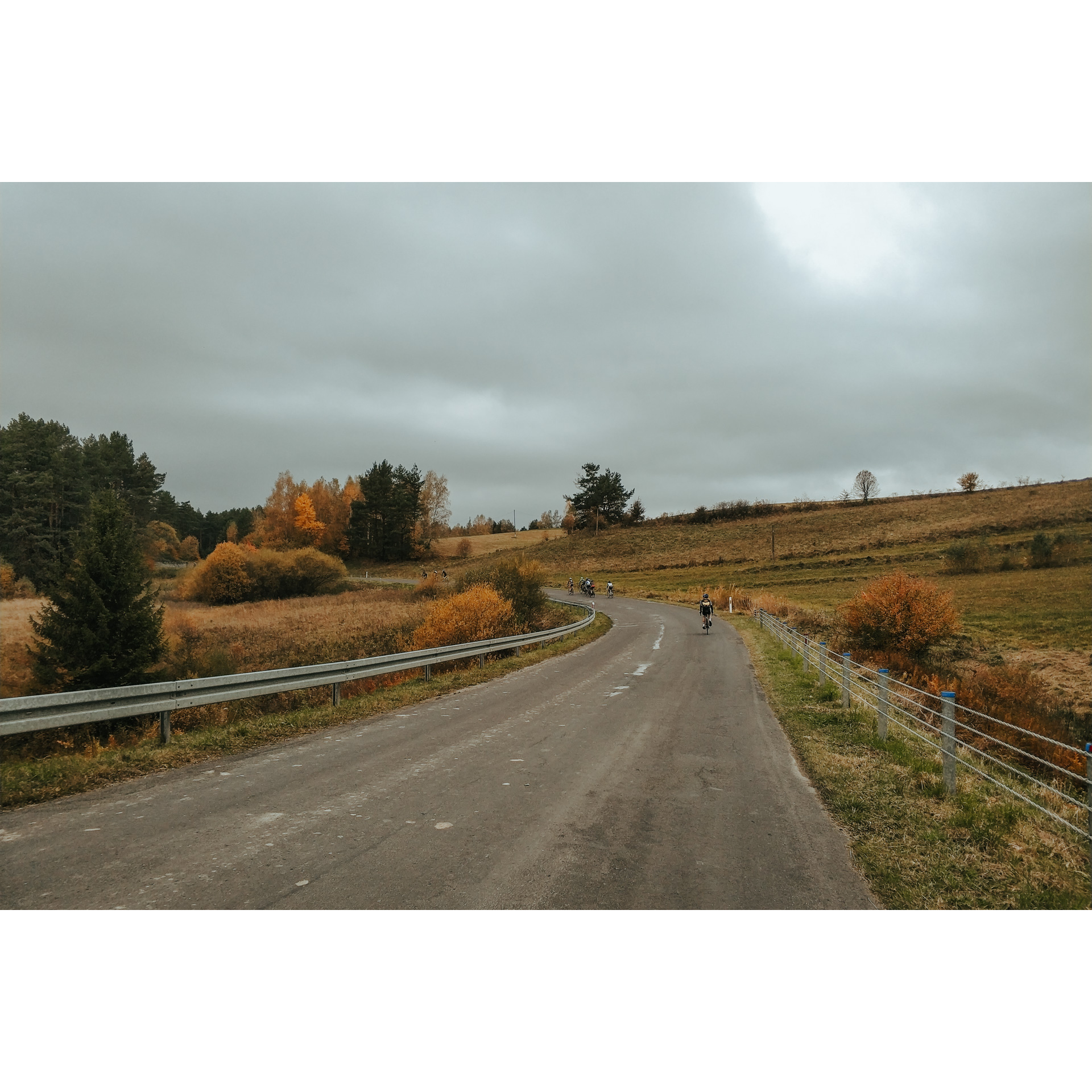 A group of cyclists riding a paved road surrounded by a clearing full of trees with orange and green leaves under a cloudy sky