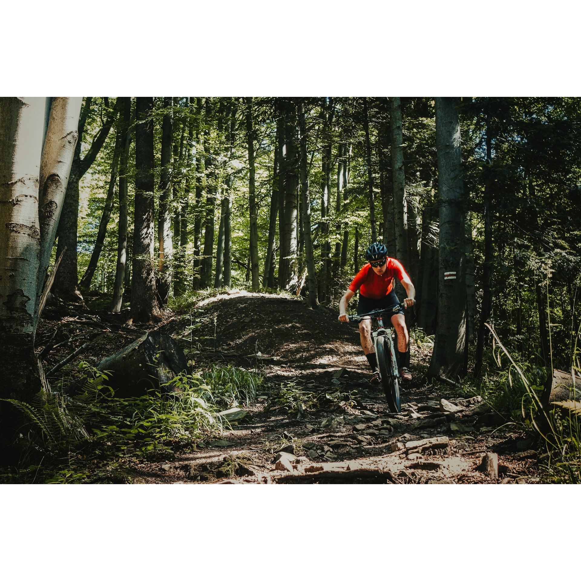 A cyclist in a red and black outfit riding in the middle of the forest on rocky hills