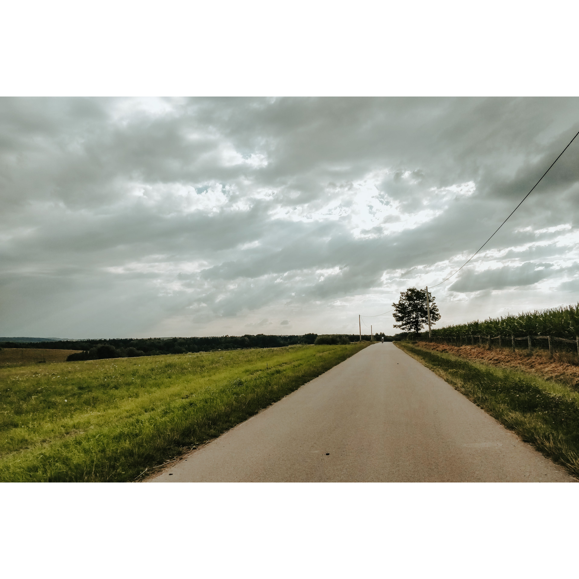 Droga asfaltowa prowadząca między zieloną łąką a polem kukurydzy oraz jadący nią w oddali rowerzysta w białym stroju 