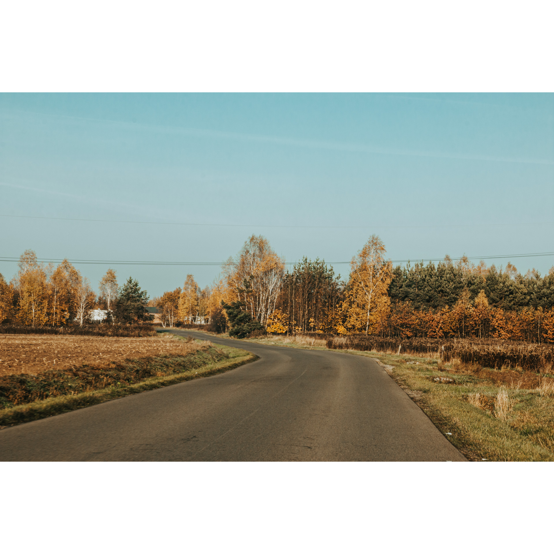 Droga asfaltowa w otoczeniu brązowo-żółtej roślinności i drzewami w tle