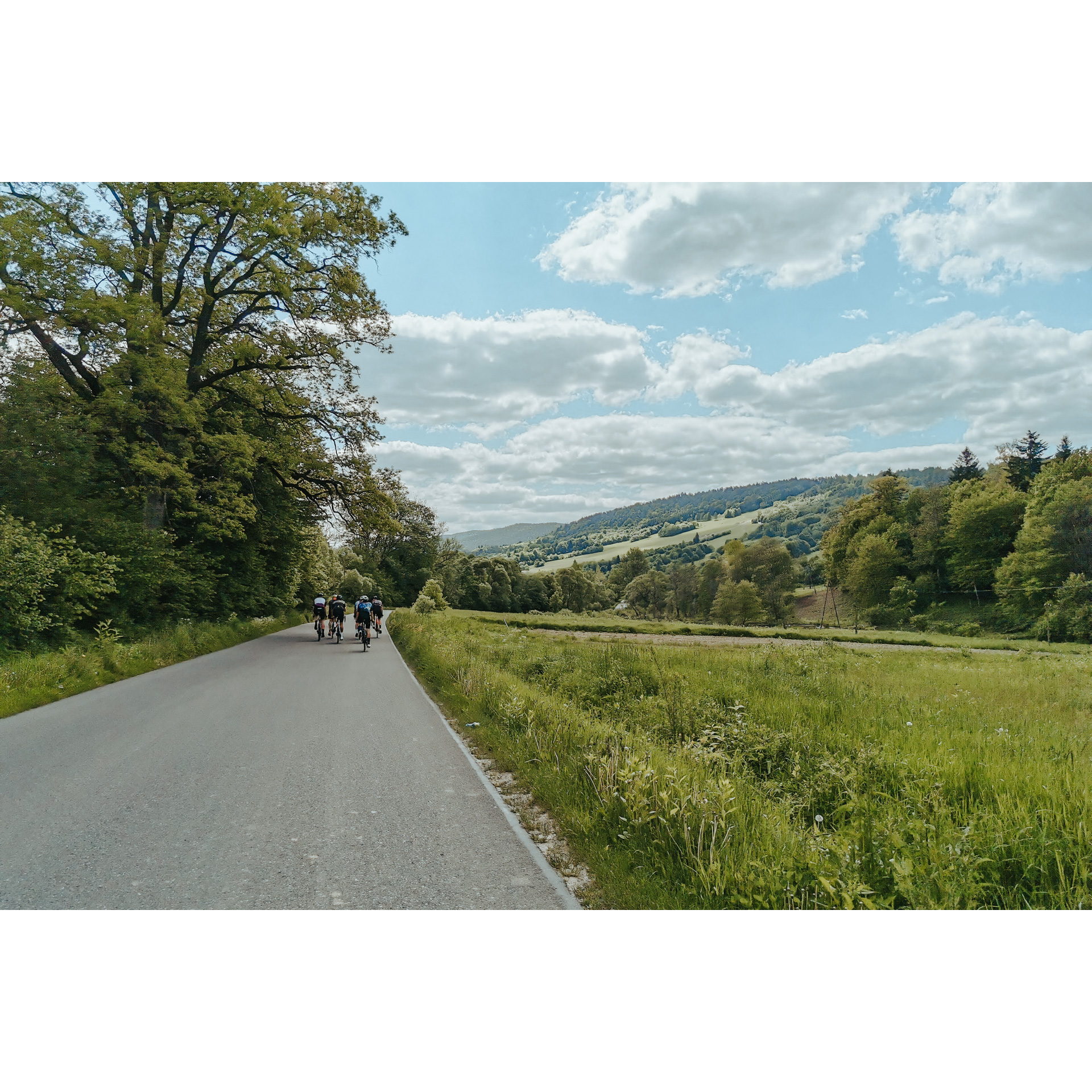 Grupa rowerzystów jadąca drogą asfaltową mijająca drzewa i gęsto porośnięte trawą łąki na tle zalesionych wzgórz