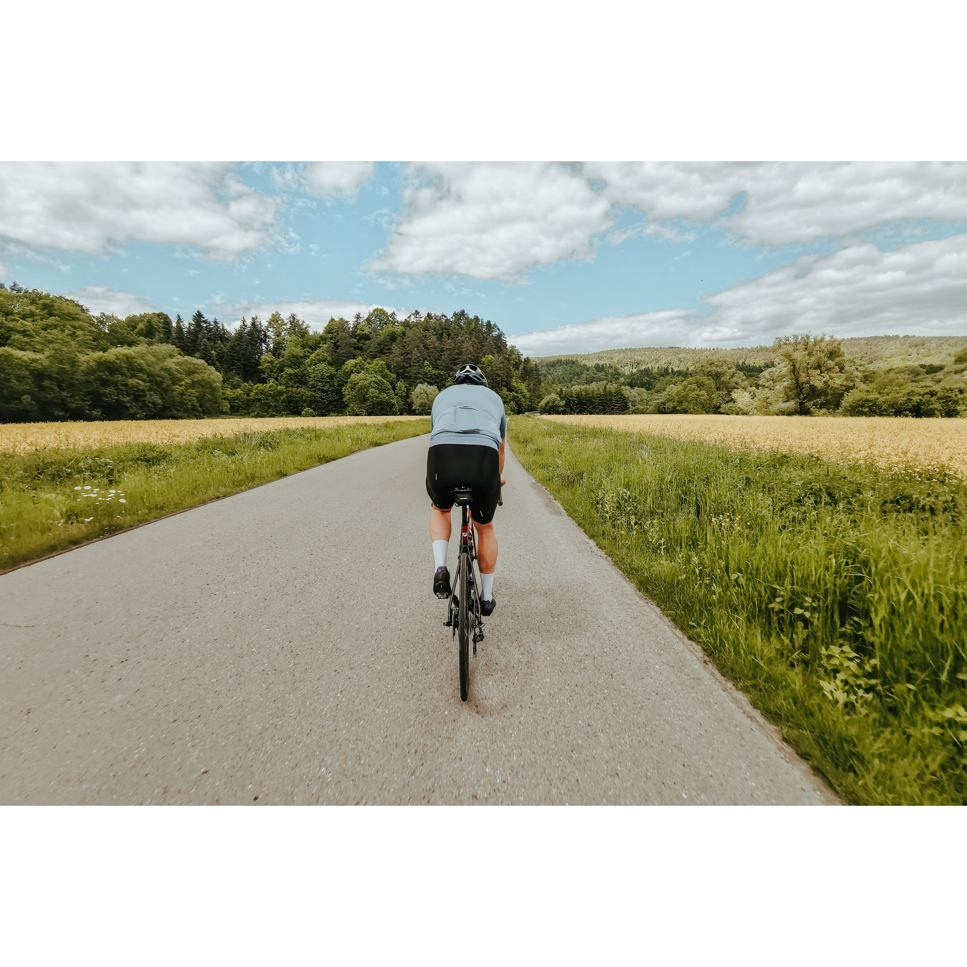 A cyclist in a blue and black outfit riding an asphalt road surrounded by meadows full of green and yellow vegetation and a dense forest in the distance