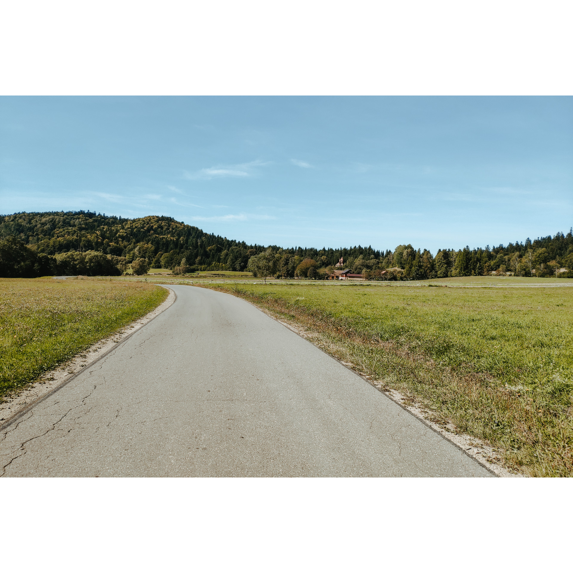 Asphalt road surrounded by green meadows with a dense mixed forest in the distance