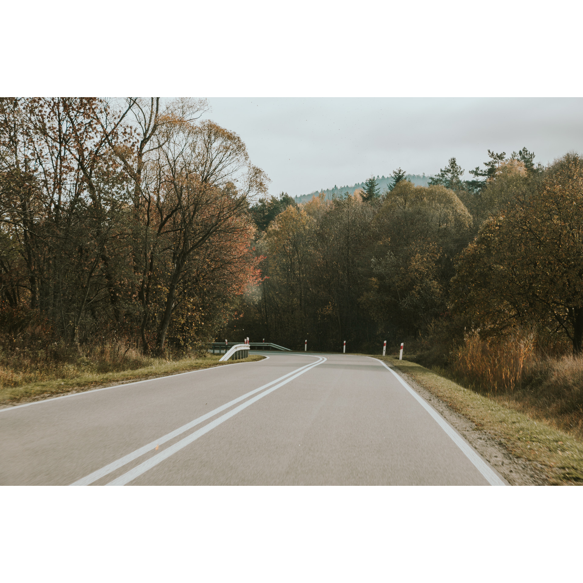 Asphalt road turning left leading through the forest