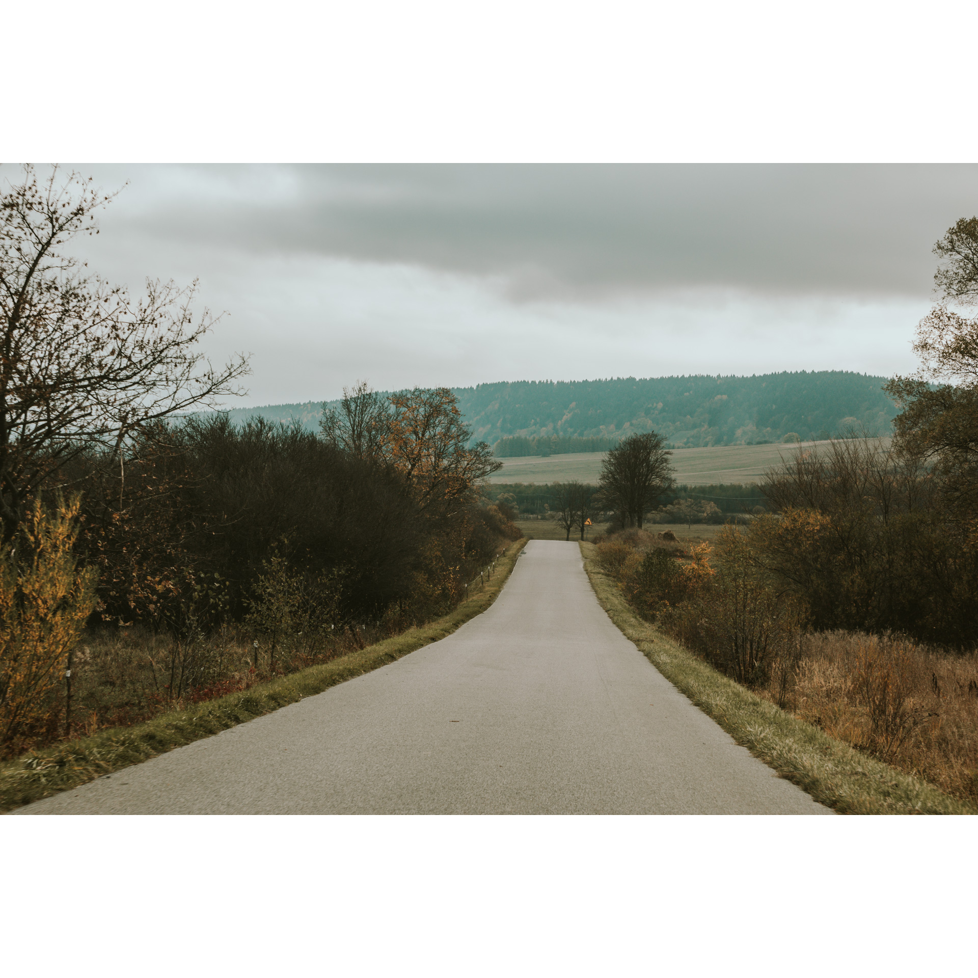 Asphalt road among trees with forested hills in the background