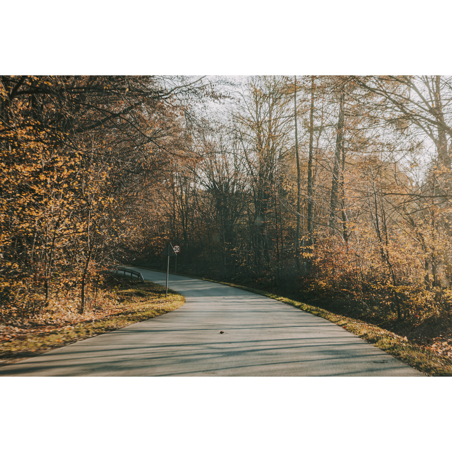 Droga asfaltowa skręcająca w lewo wśród jesiennych liści