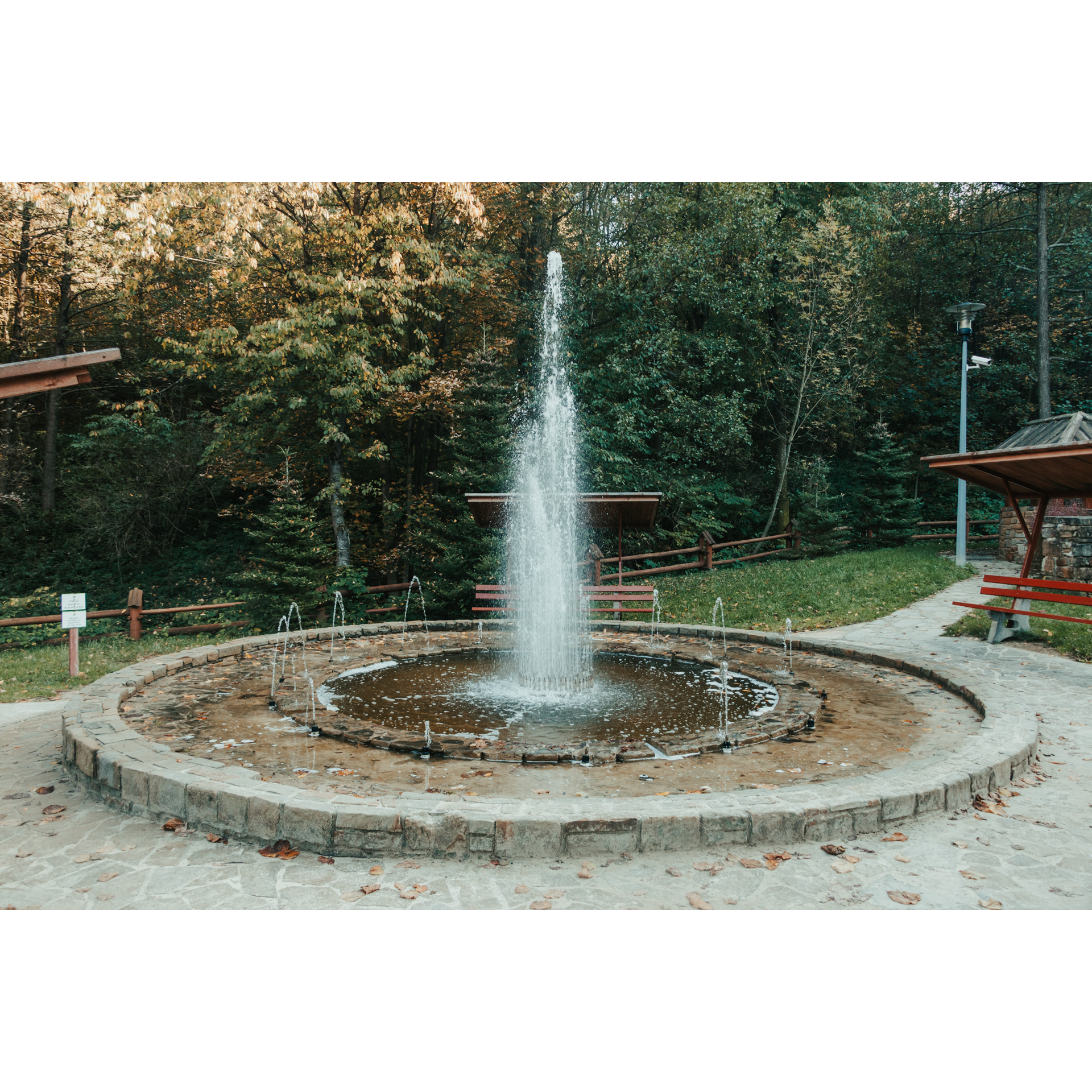 A stone fountain spouting water surrounded by red benches against a green forest background