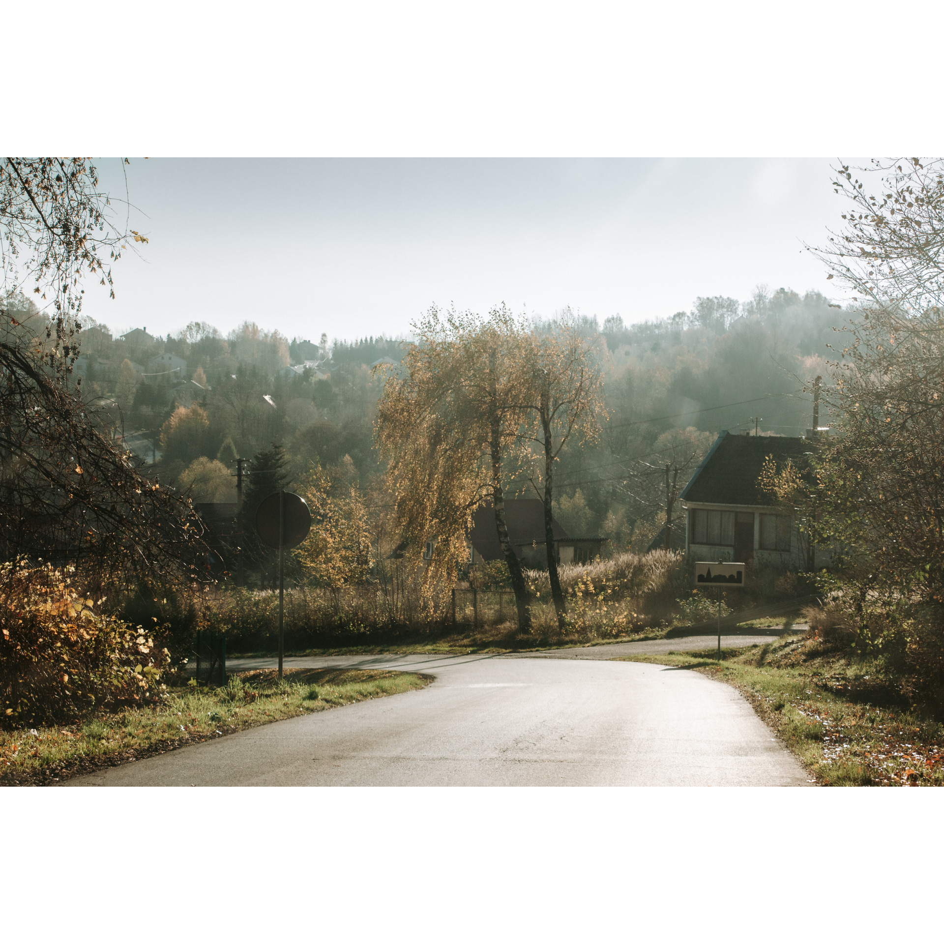 Asphalt road turning left among trees and buildings