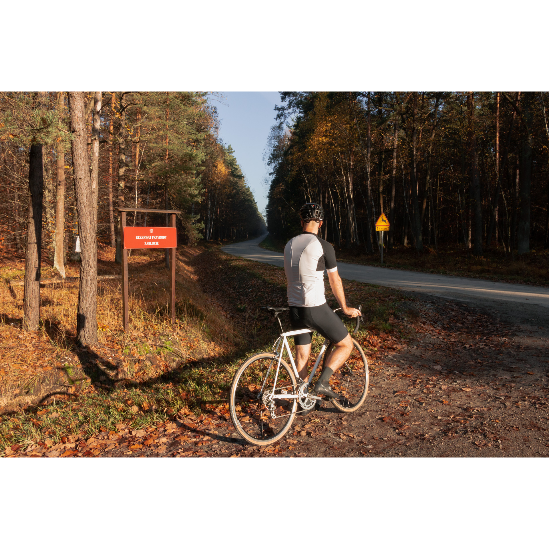 Rowerzysta w biało-czarnym stroju zatrzymujący się w jesiennym lesie na drodze bocznej spoglądający przed siebie w kierunku drogi asfaltowej
