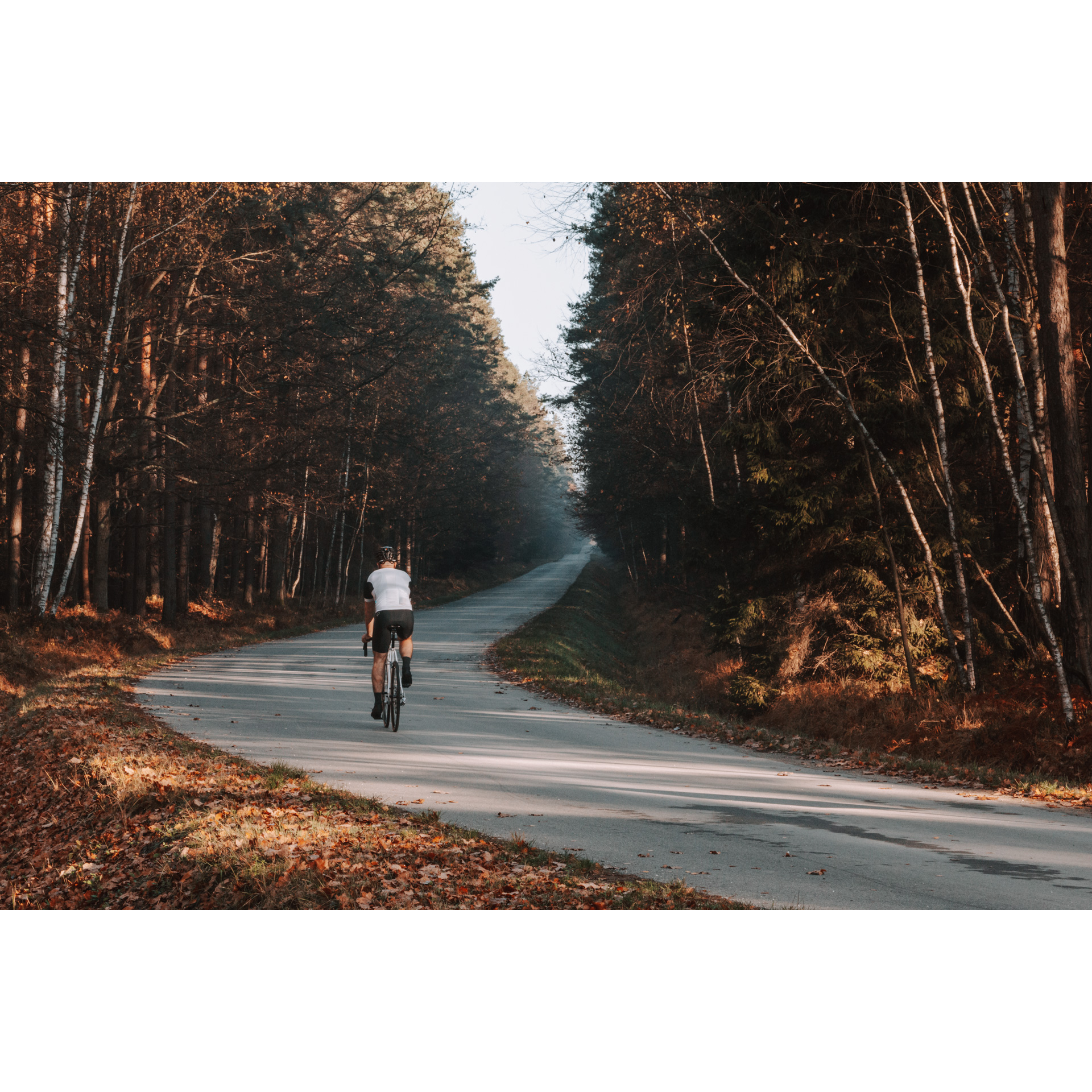 A cyclist in a black and white outfit riding an asphalt road through the autumn forest