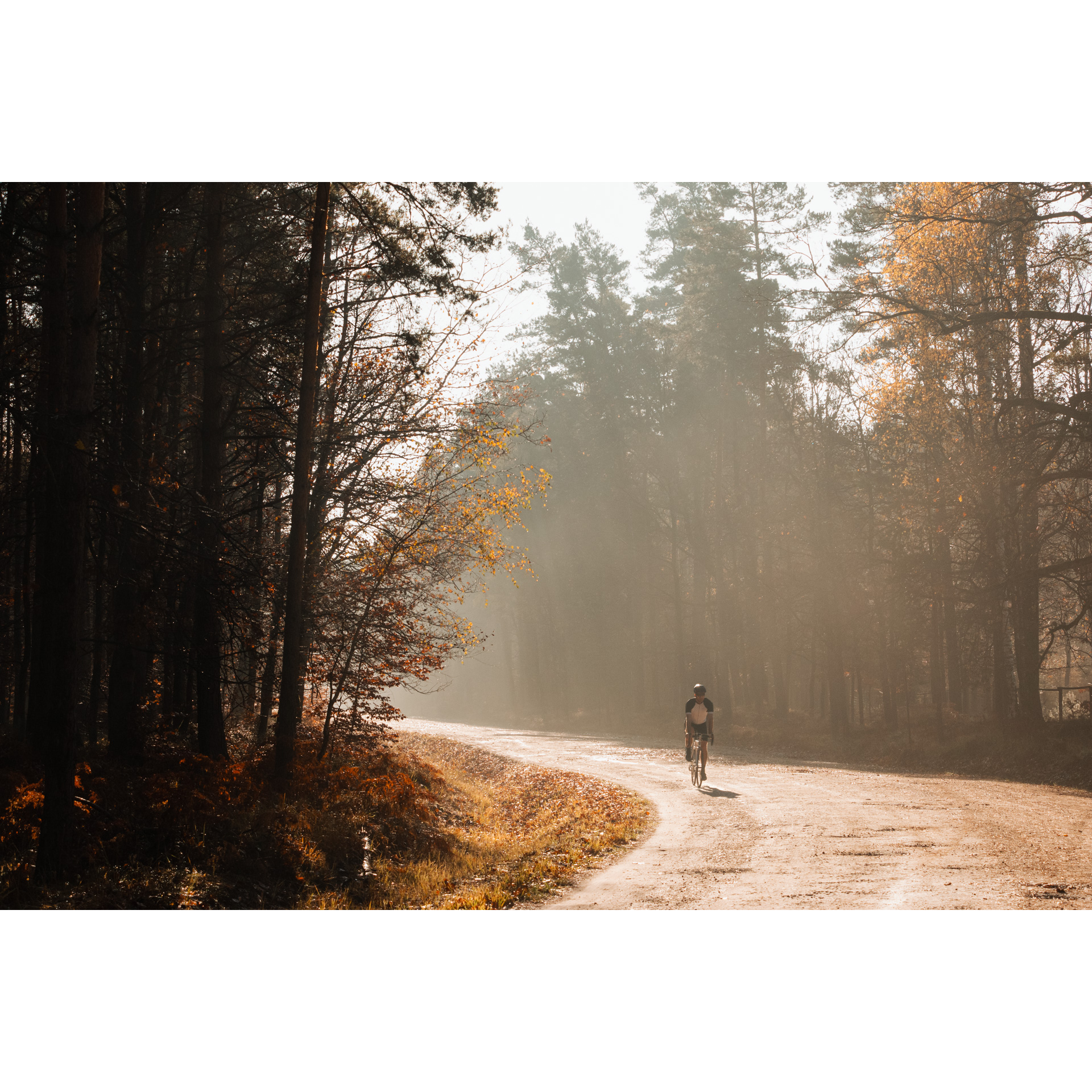 Rowerzysta w biało-czarnym stroju jadący utwardzoną drogą przez jesienny las w mglistą pogodę