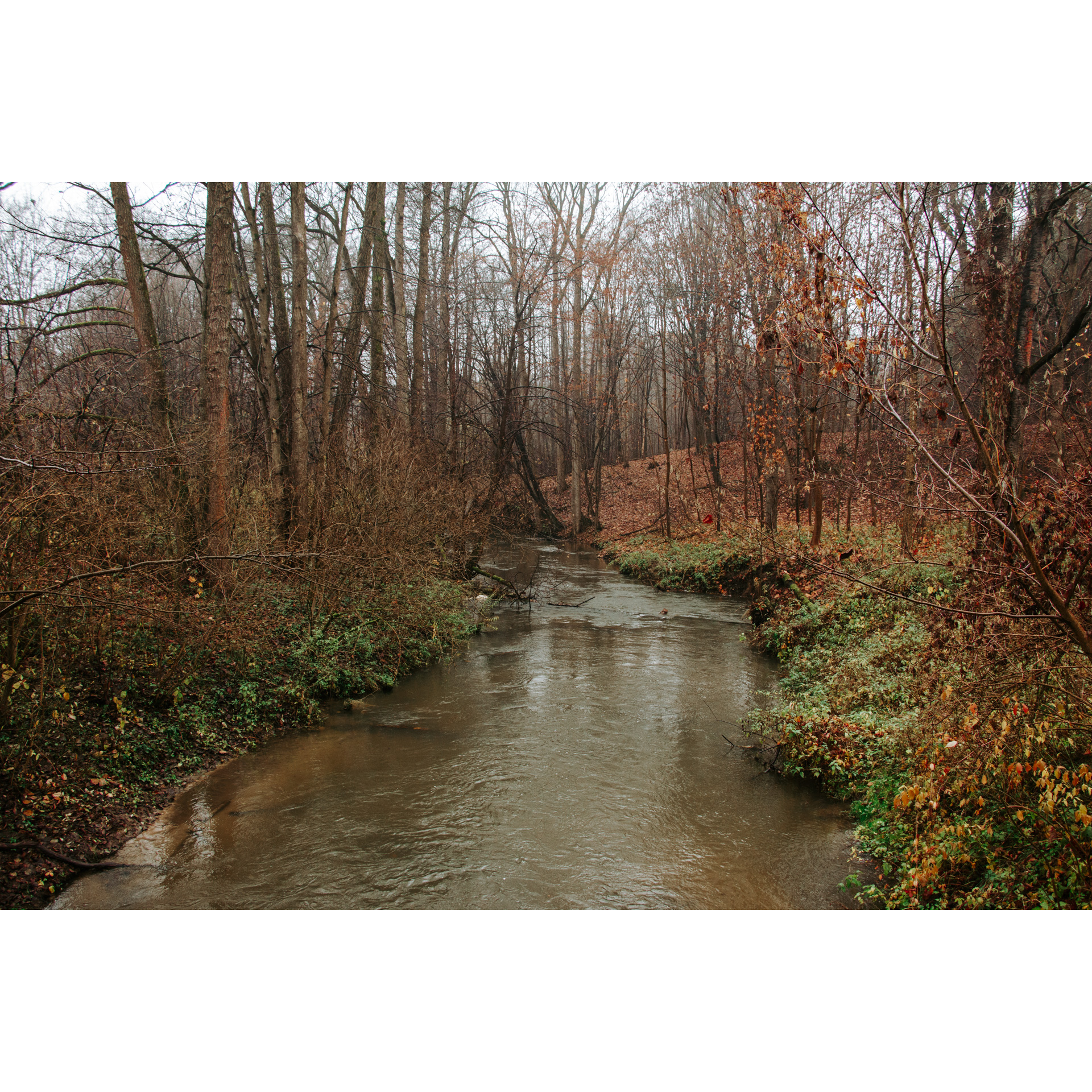 Rzeka płynąca przez jesienny las