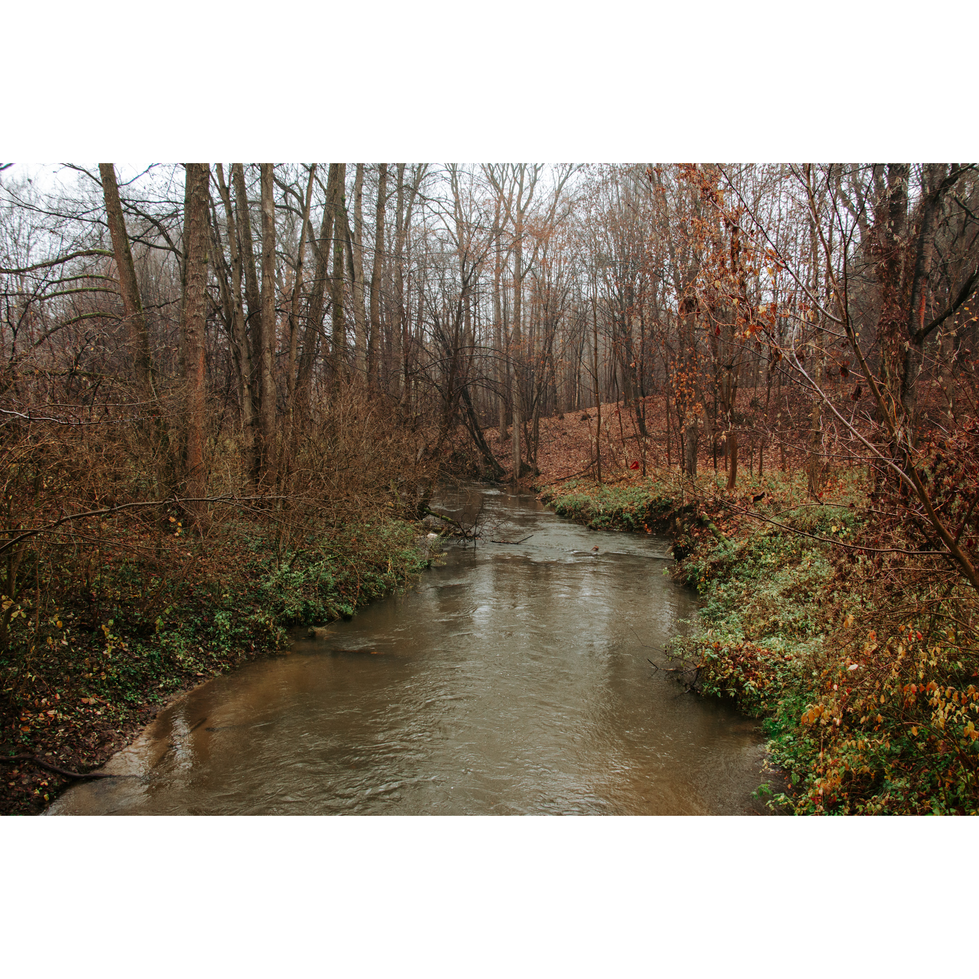 River flowing through the autumn forest