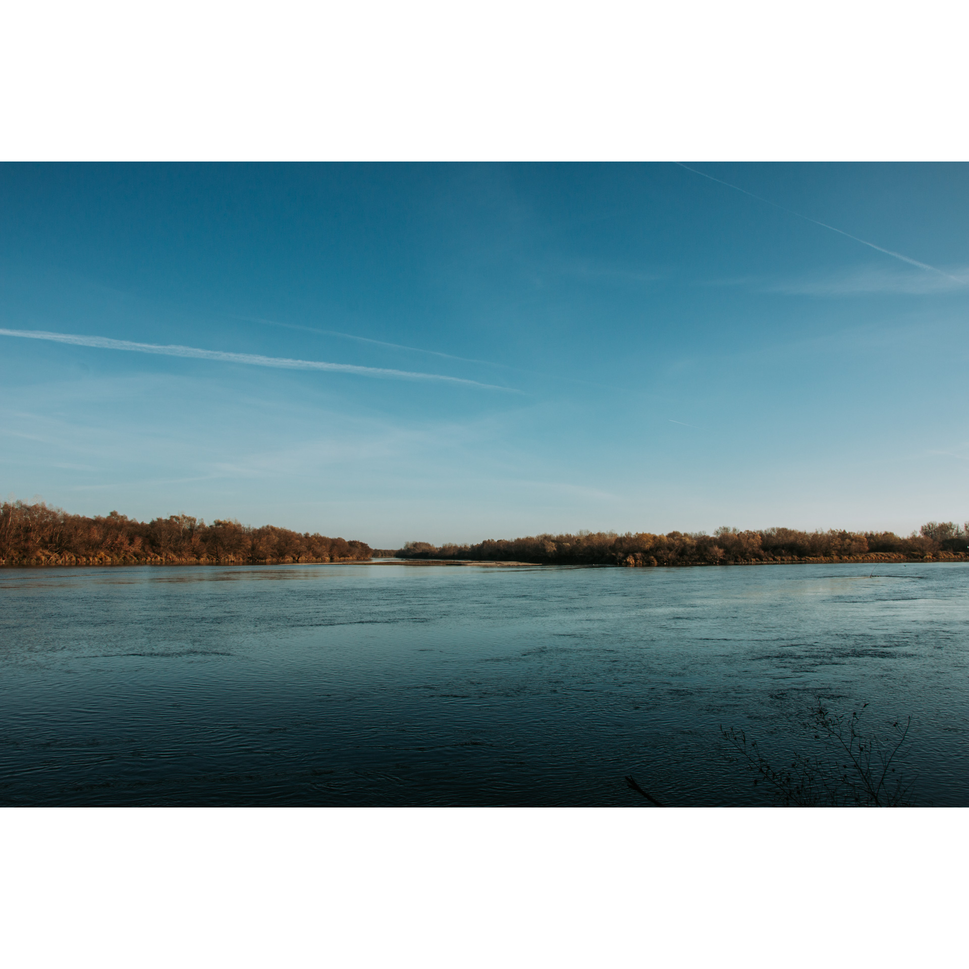 The surface of a lake with forests in the background under a cloudless sky