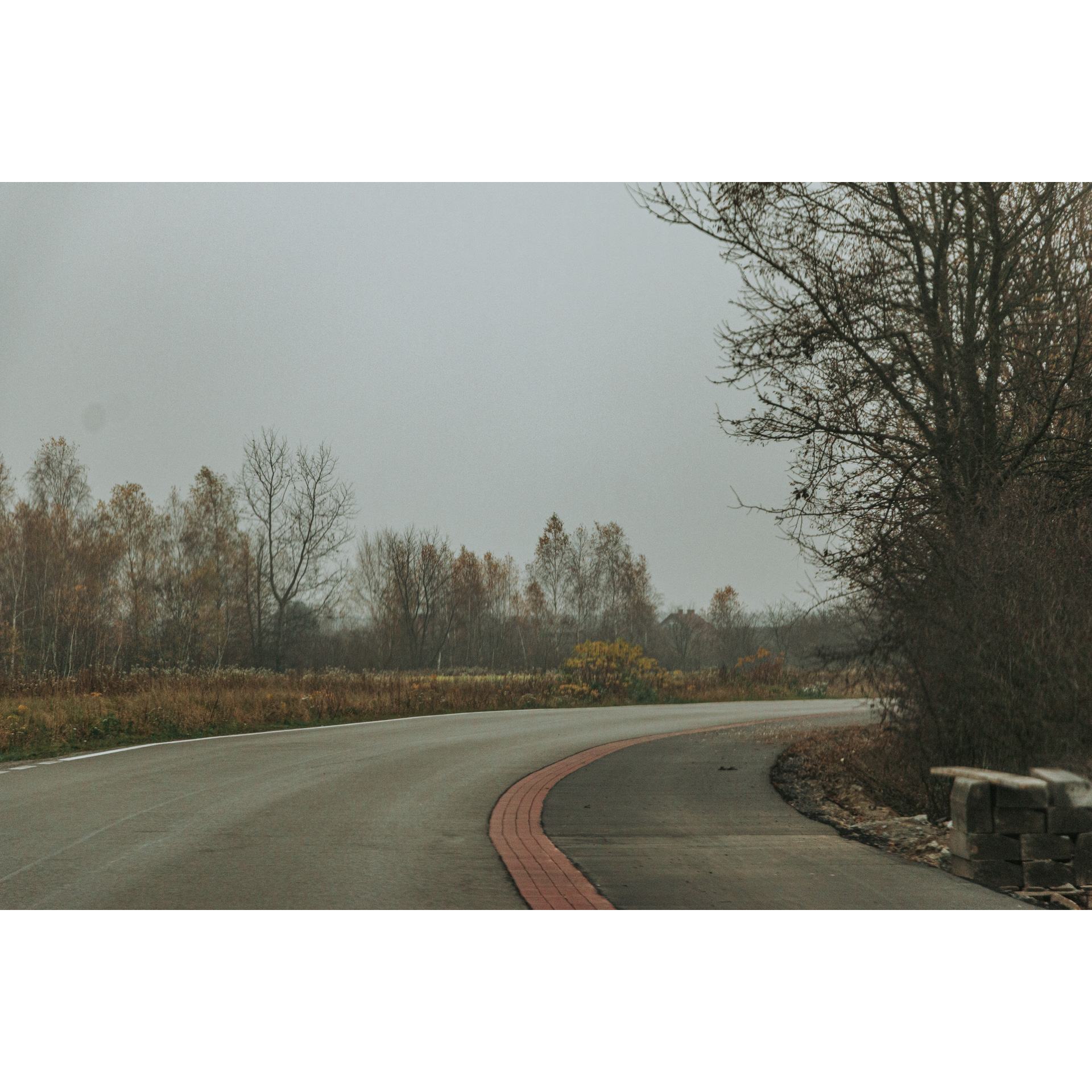 Asphalt road turning right surrounded by trees