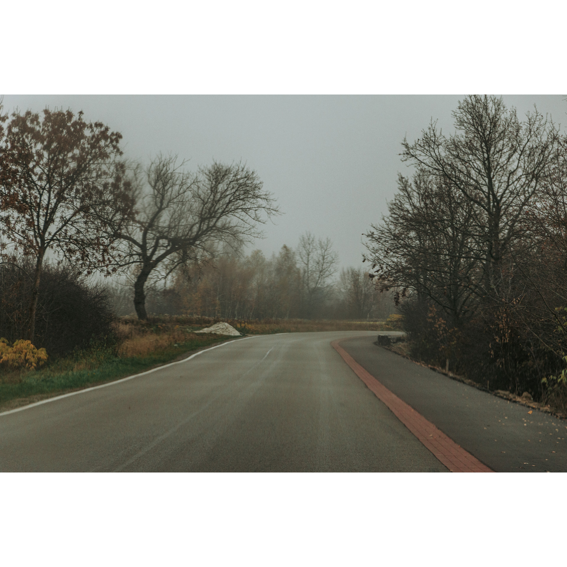 Asphalt road turning right surrounded by dark trees