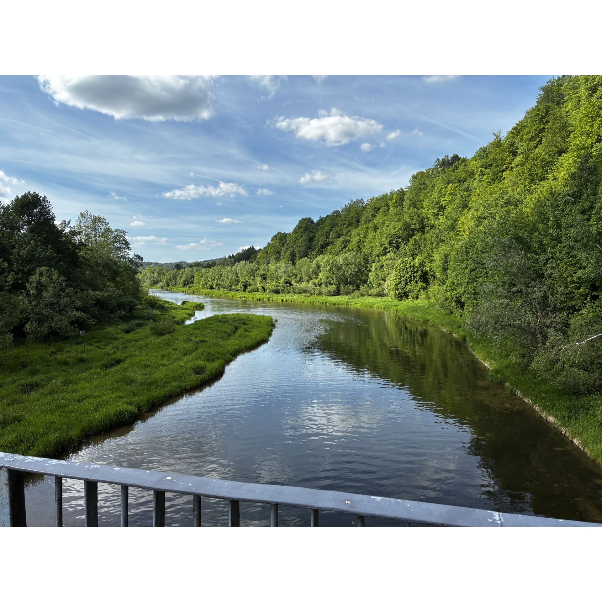 Widok rzeki z mostu, otoczonej zielonym lasem i wzgórzami.