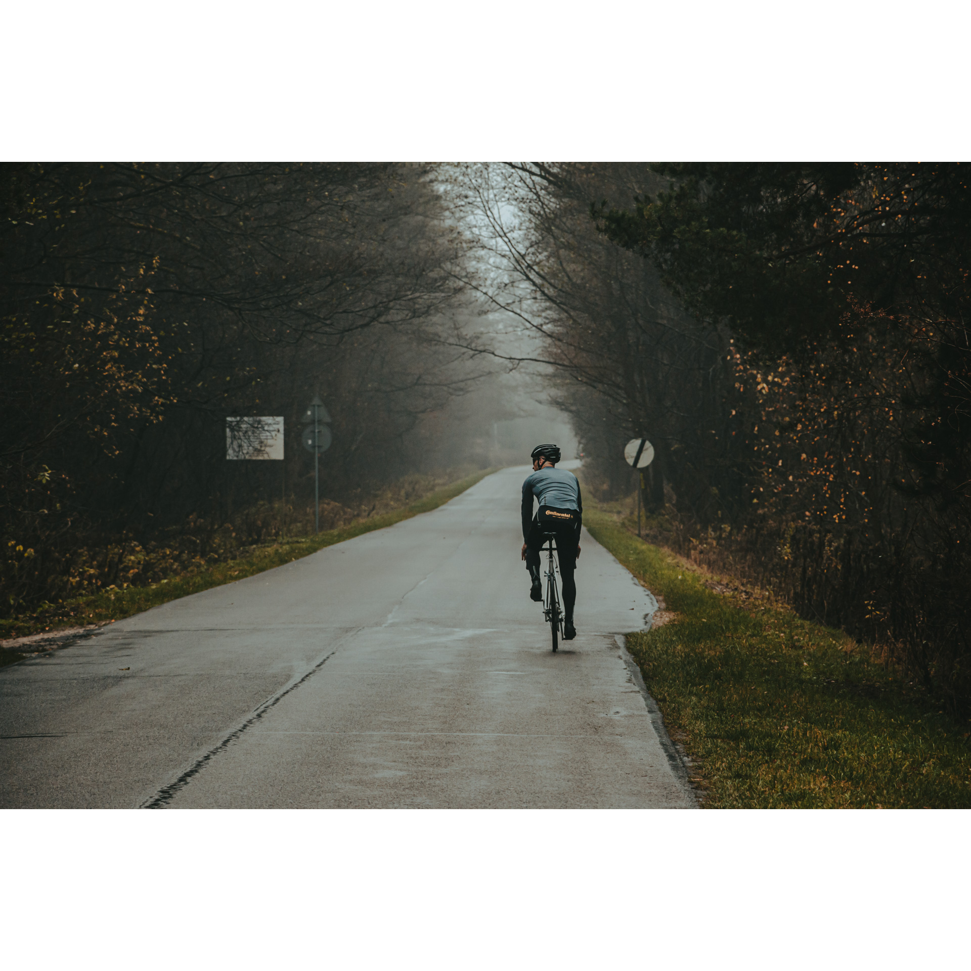 A cyclist in a blue and black outfit riding an asphalt road leading through a dark forest with fog in the distance