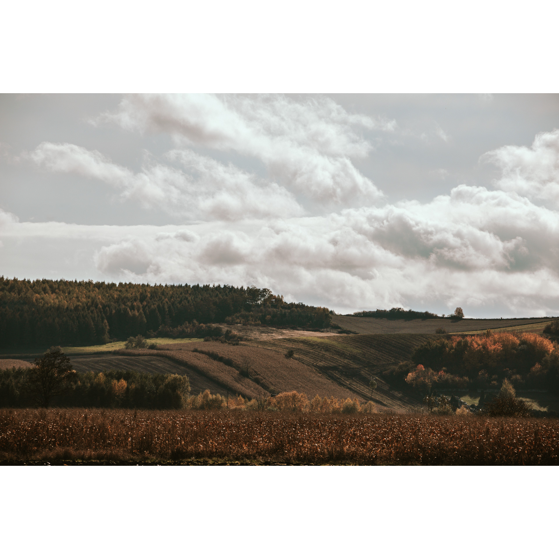 Hills with agricultural fields surrounded by trees with autumn colors