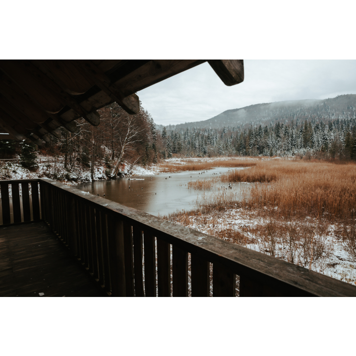 Wooden balustrade and roofing against the background of snow-covered trees and a lake