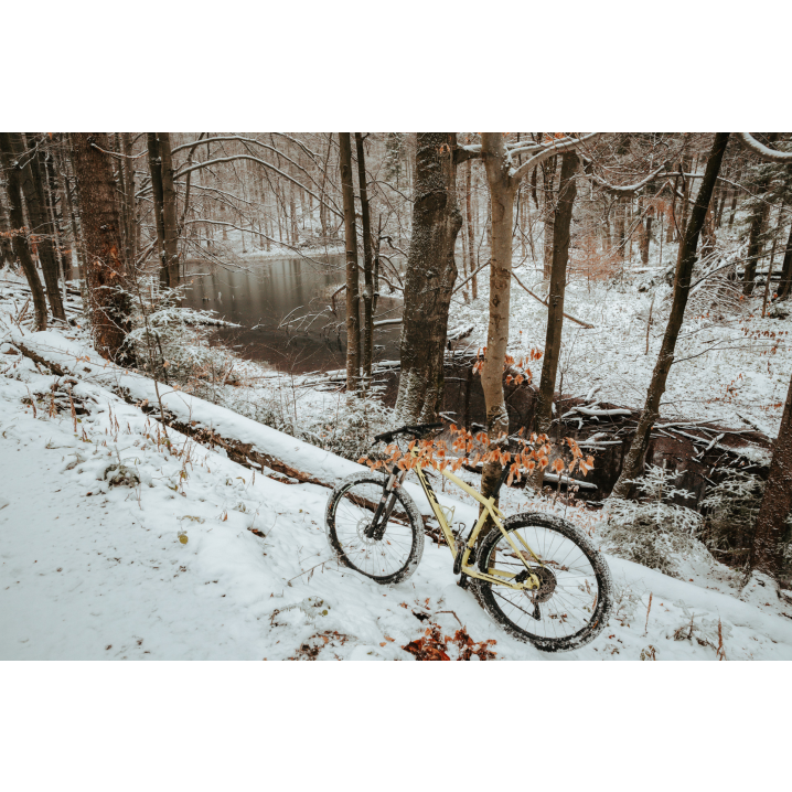 A bicycle standing on a snow-covered forest road against the background of a river and forest