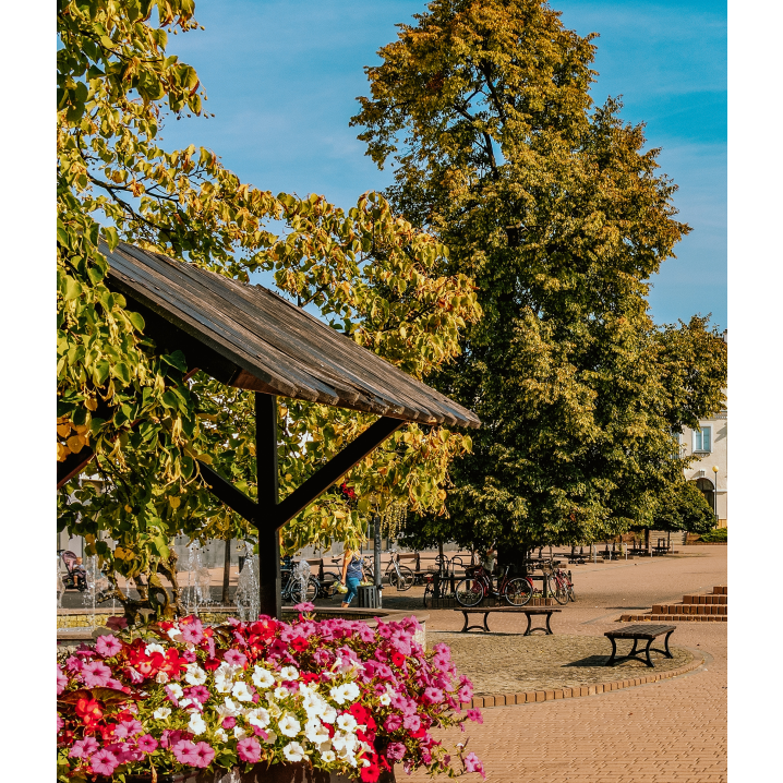 Rynek miejski w Tarnobrzegu