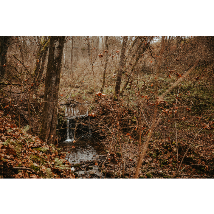 A small waterfall in the forest among trees and brown leaves