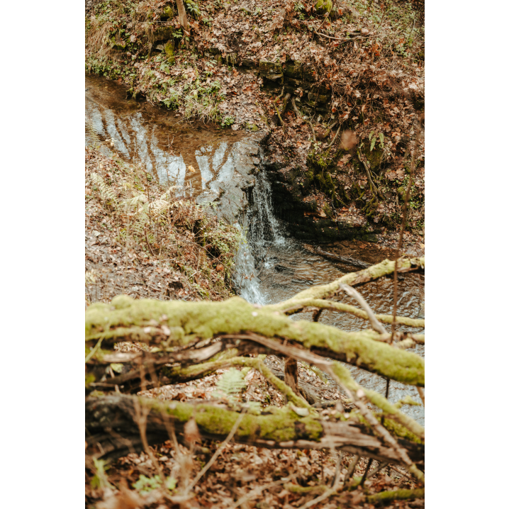 Mały wodospad w lesie na tle brązowych liści